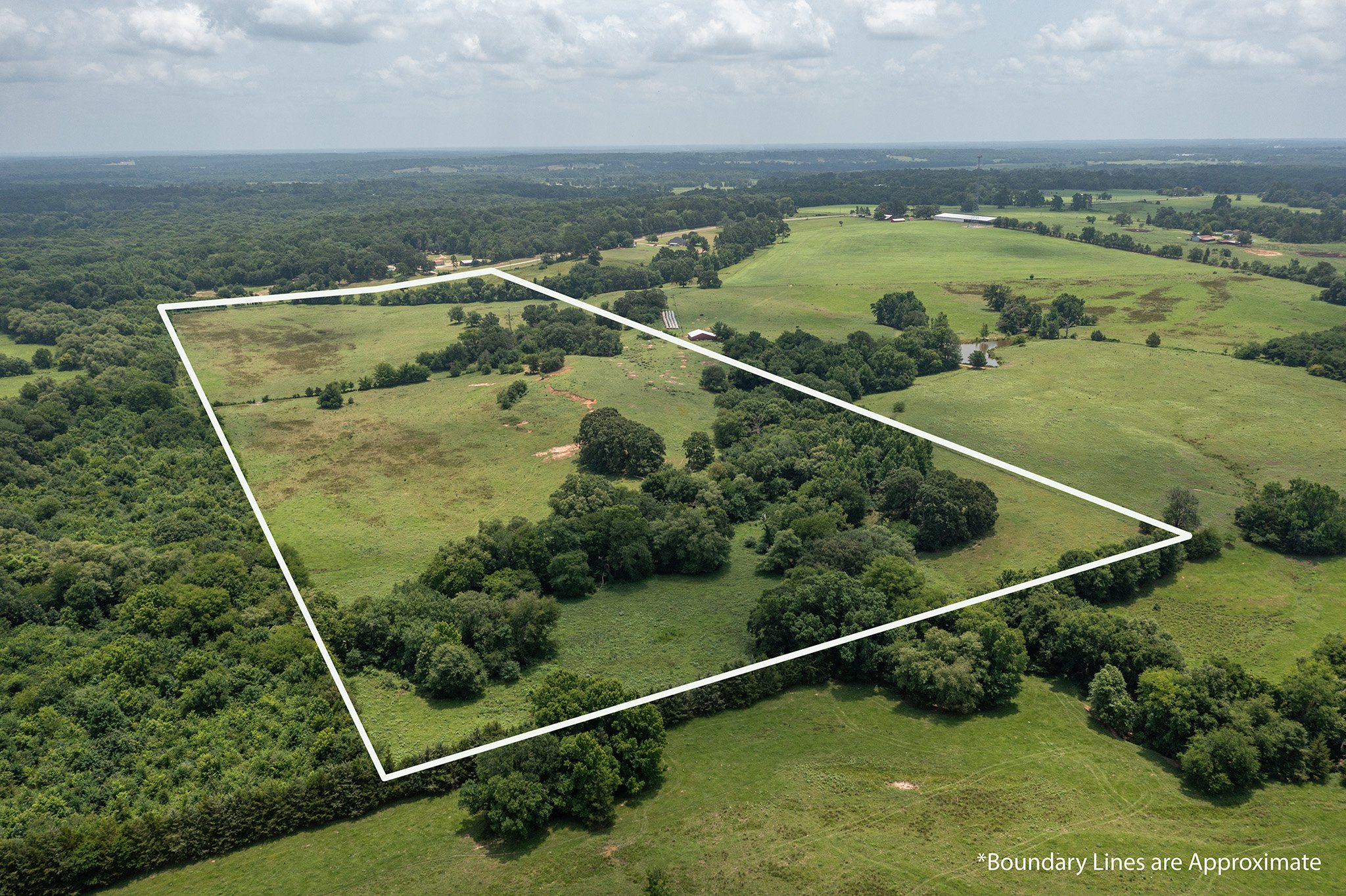Drone aerial photo of 48 acres in Winnsboro, Texas with boundary lines