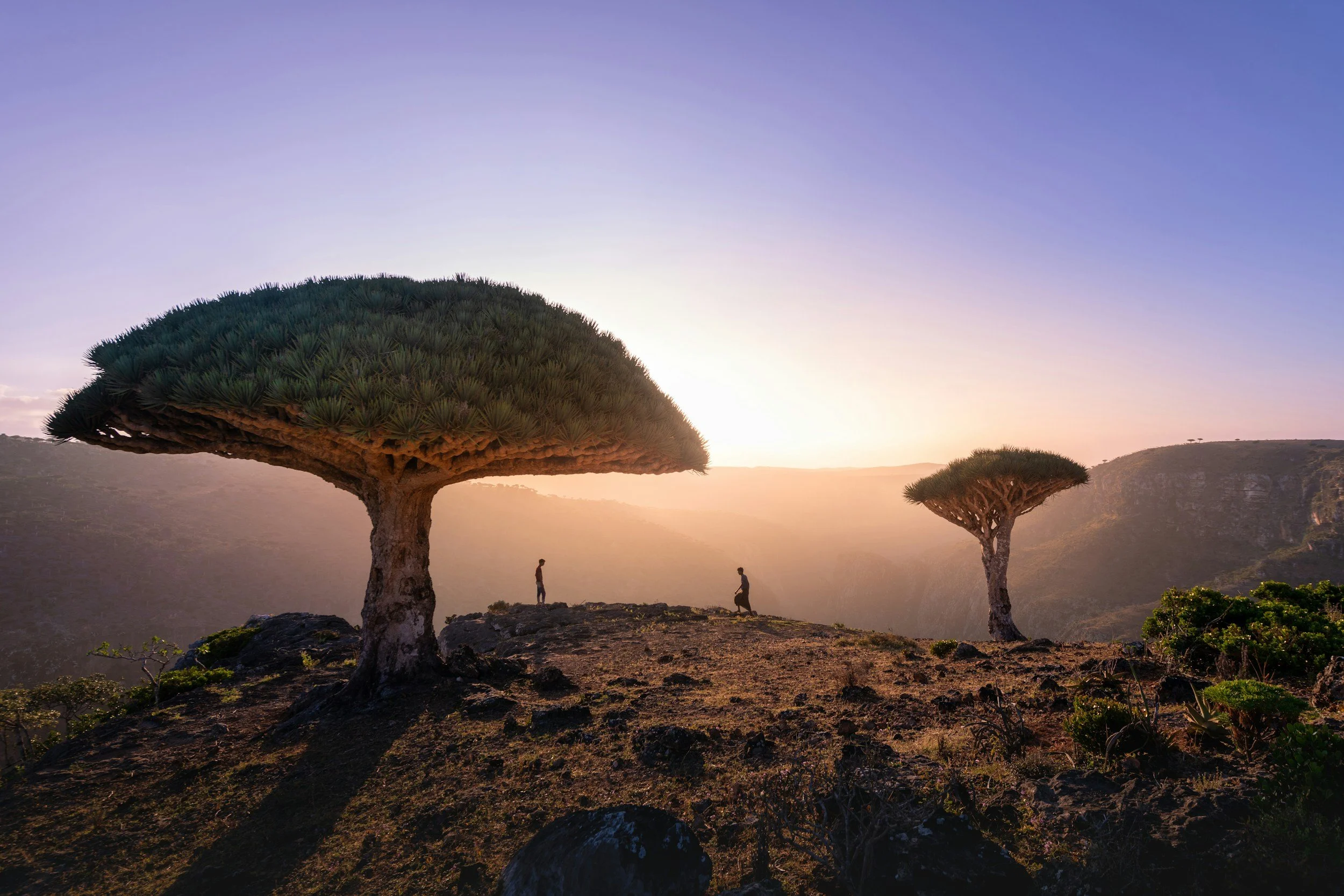 unsplash-image-REwZEYzw19g.jpg