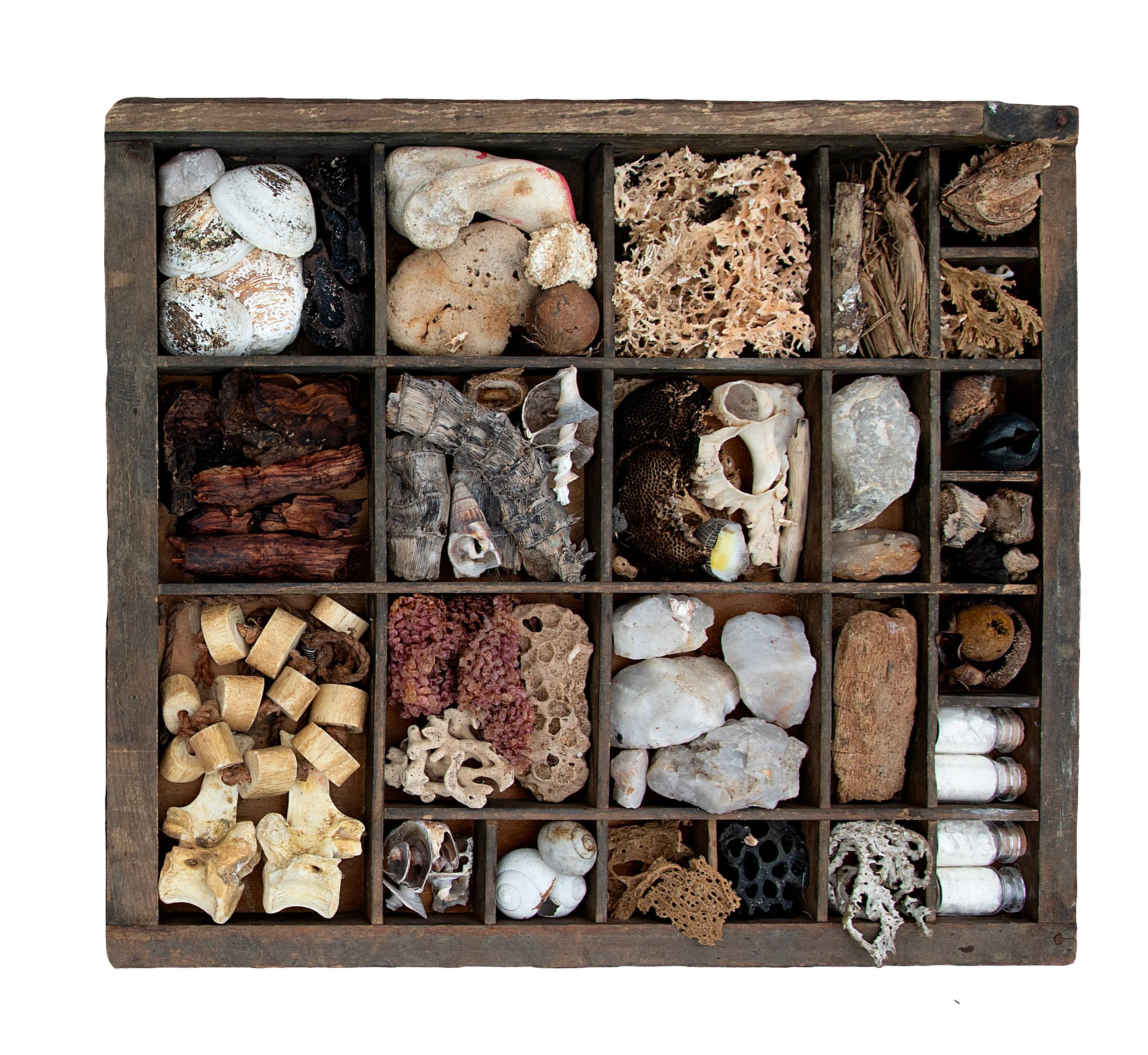Drawer 9 - Partial - Bone