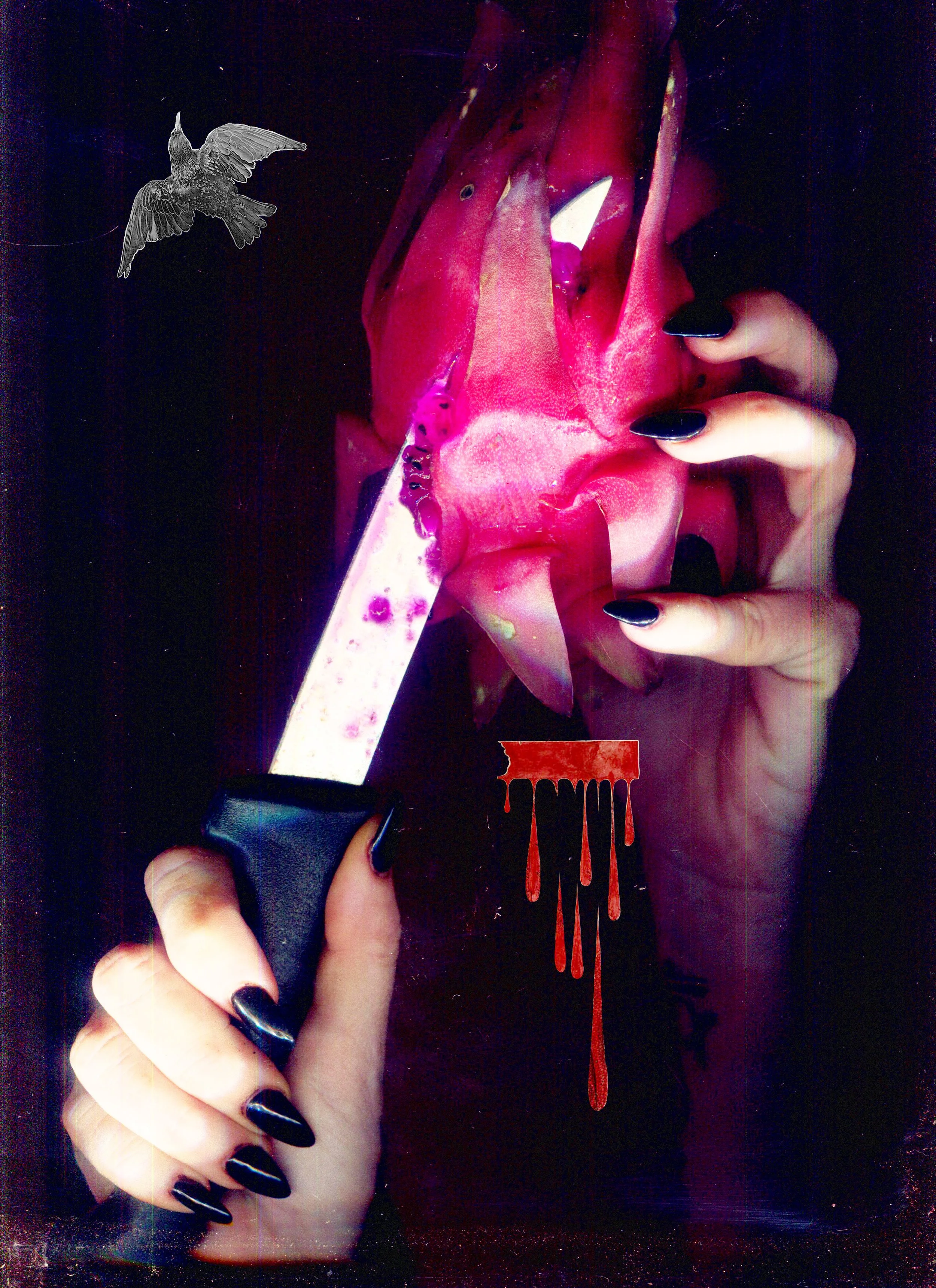 MS - Plate 023 _ Heart.jpg