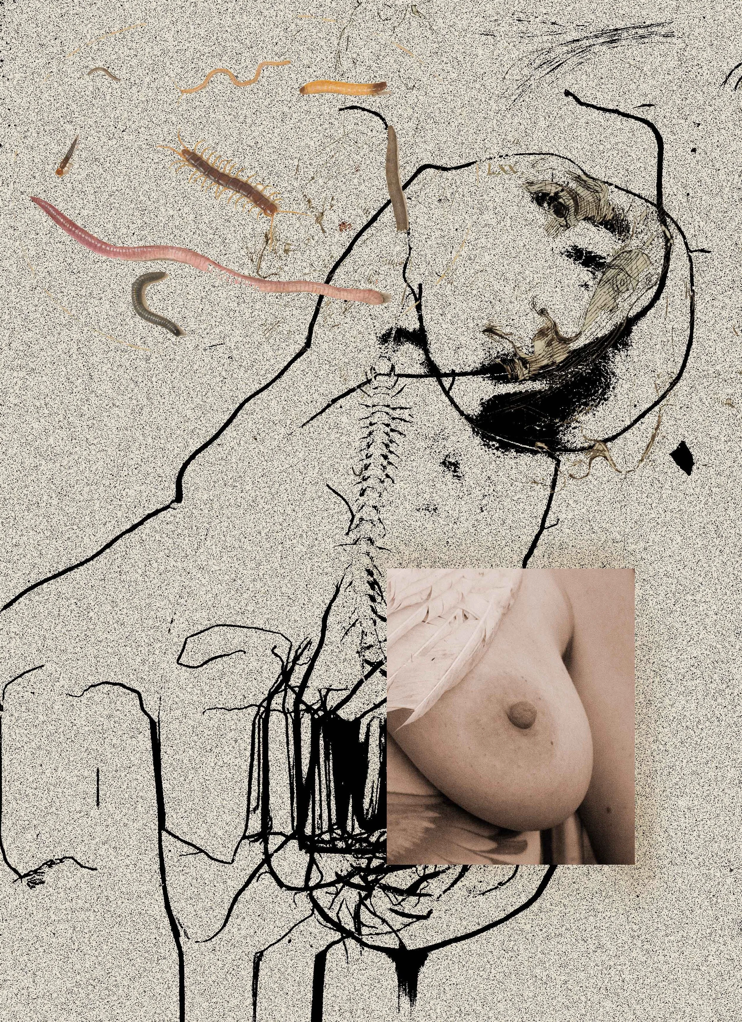 MS - Plate 004 _ Worms and Wings.jpg