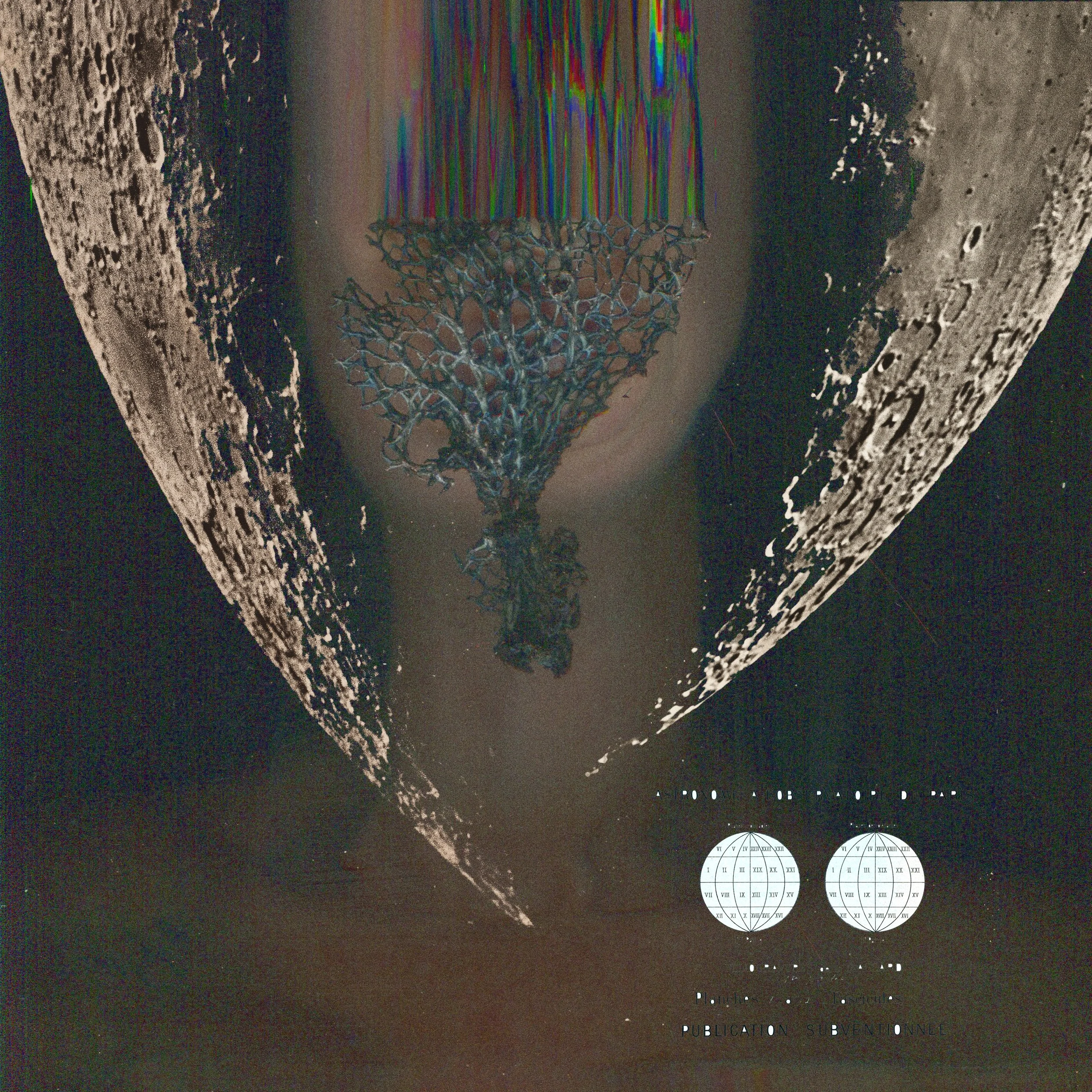 MS - Plate 021 _ Moons.jpg