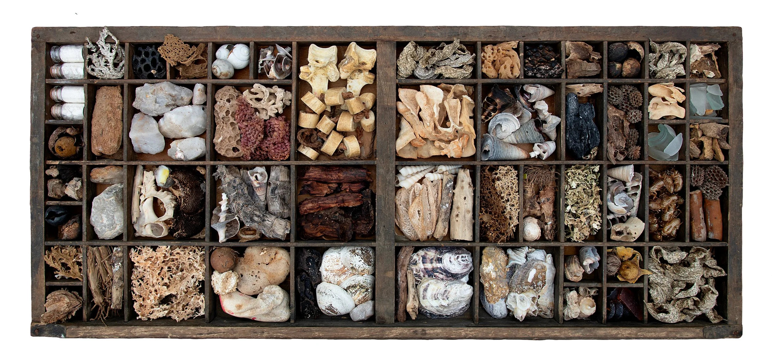 Drawer 9 - Bone