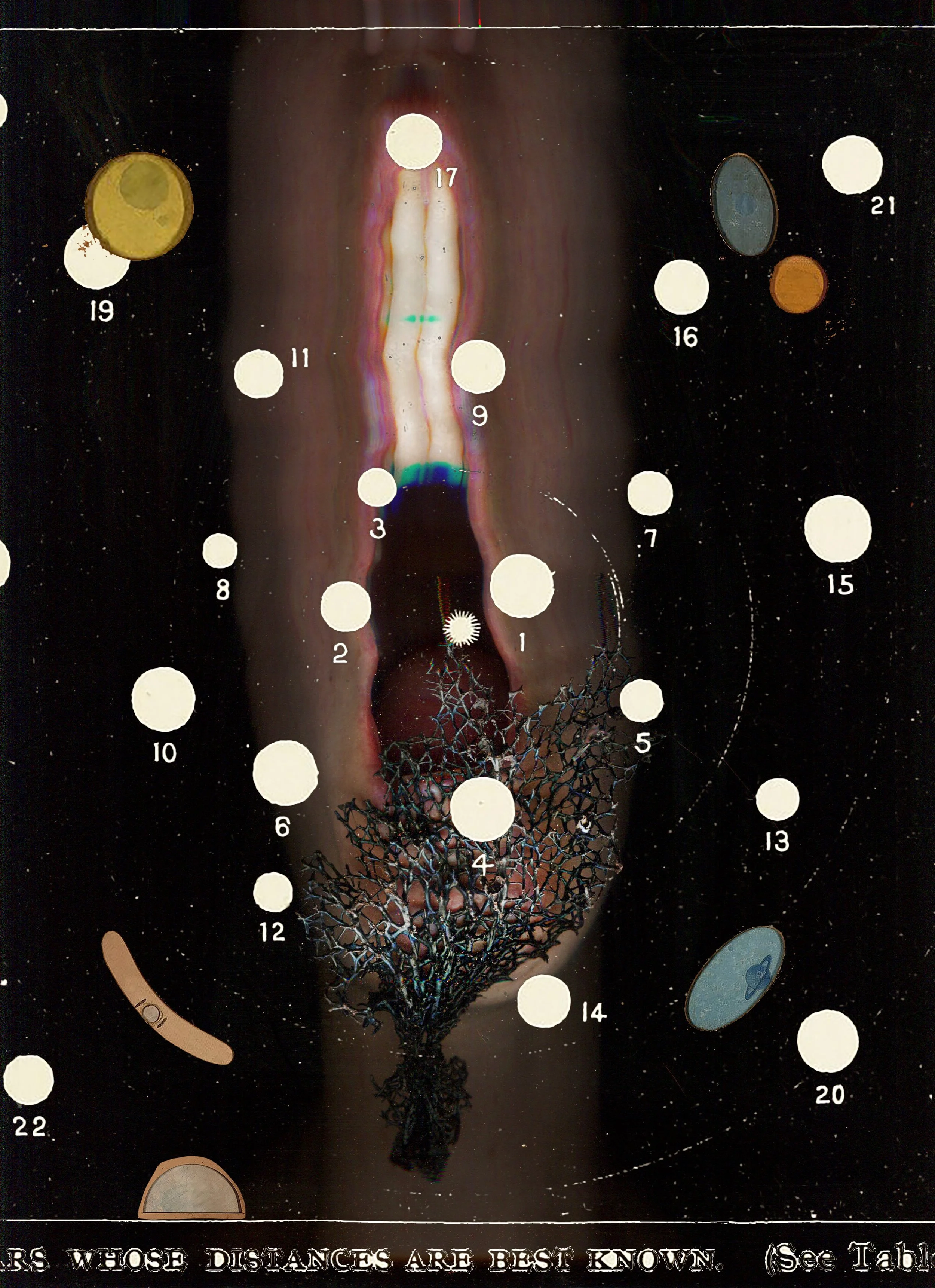 MS - Plate 002 _ Planets.jpg