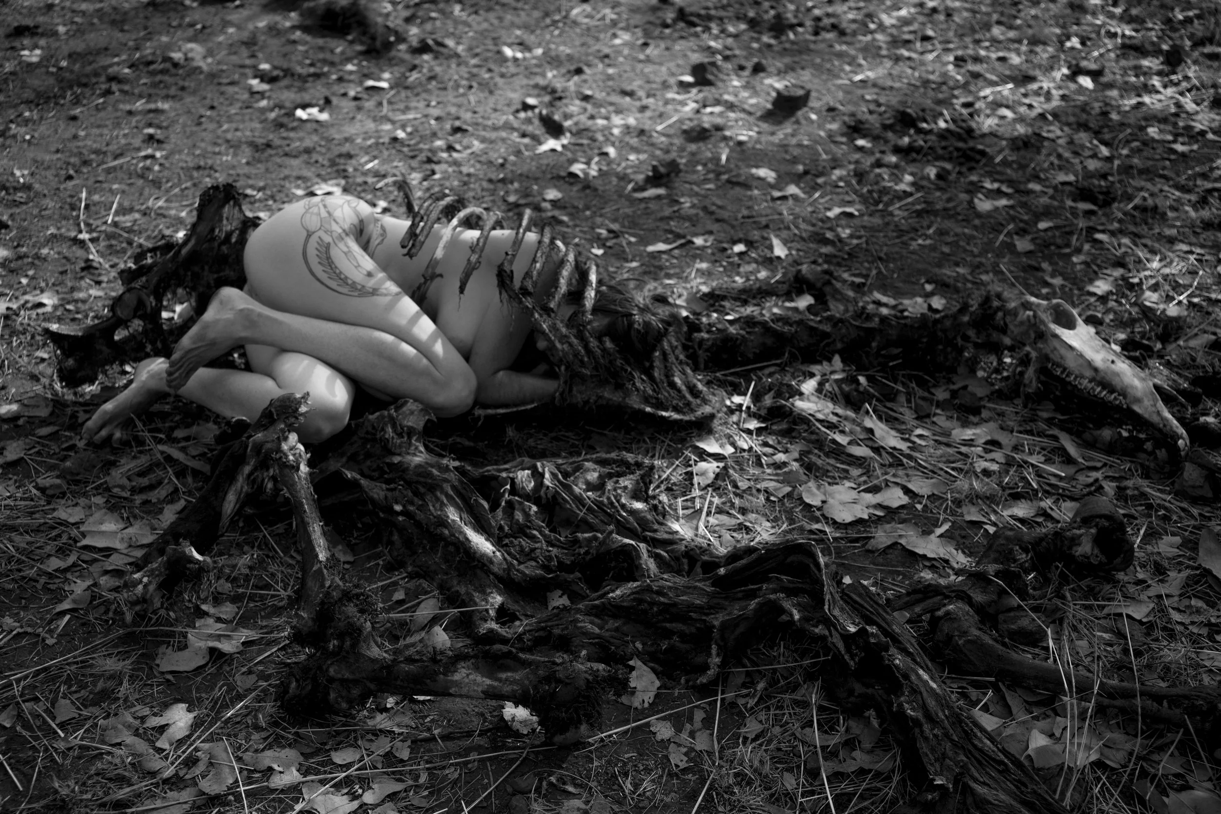 Of-the-bones_HERO_BW_HORIZ.jpg