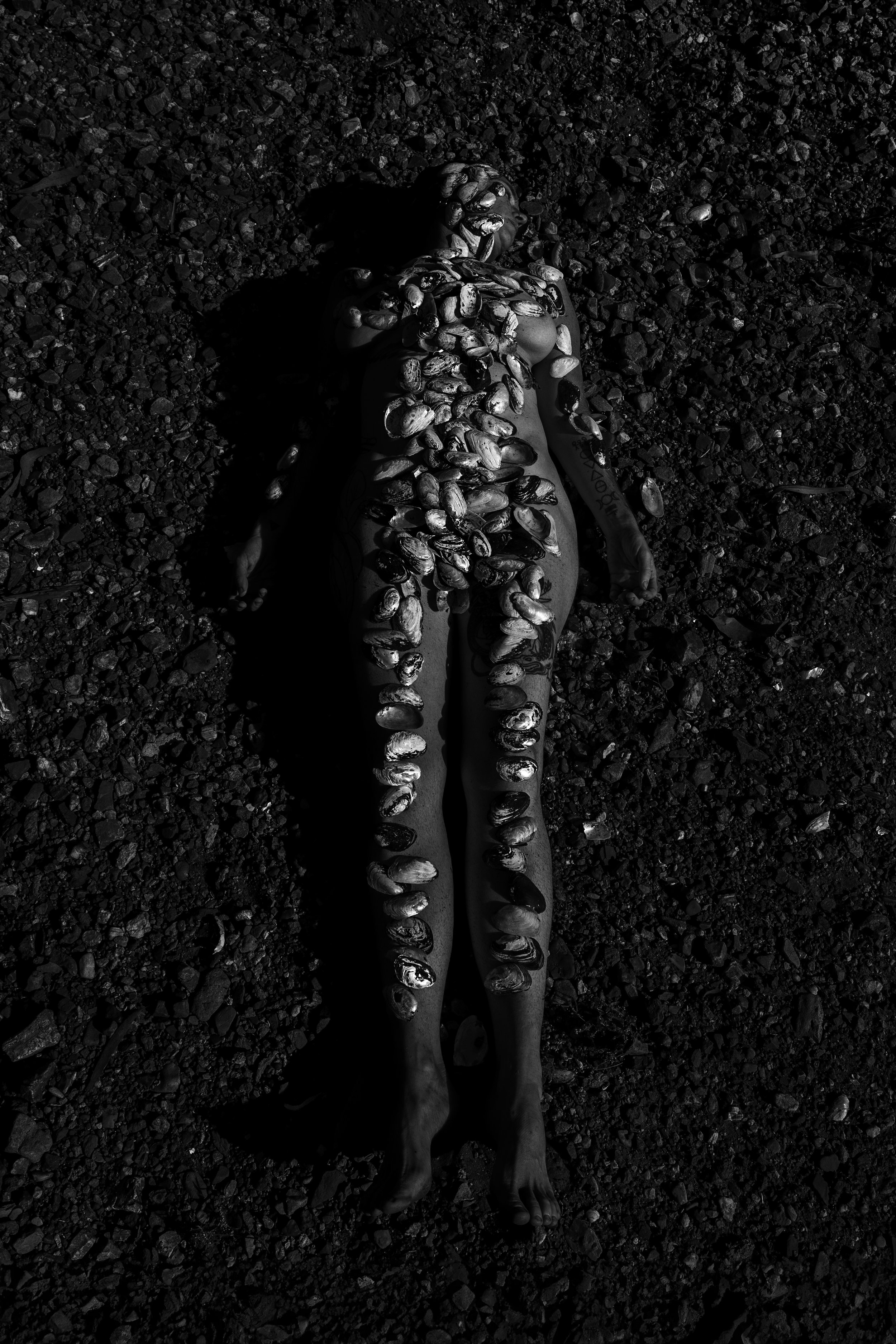 Mussel-Shells