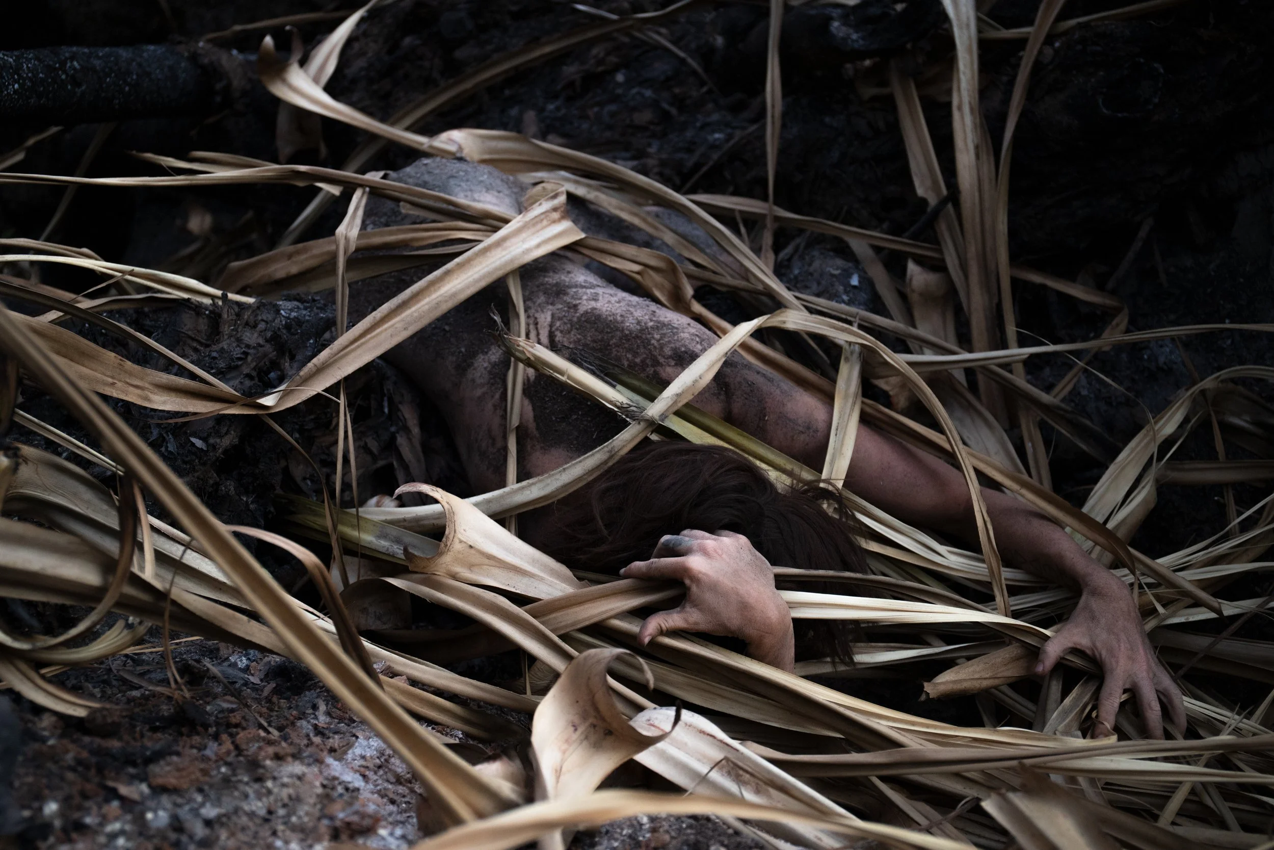 Grass_HERO_HORIZ.jpg