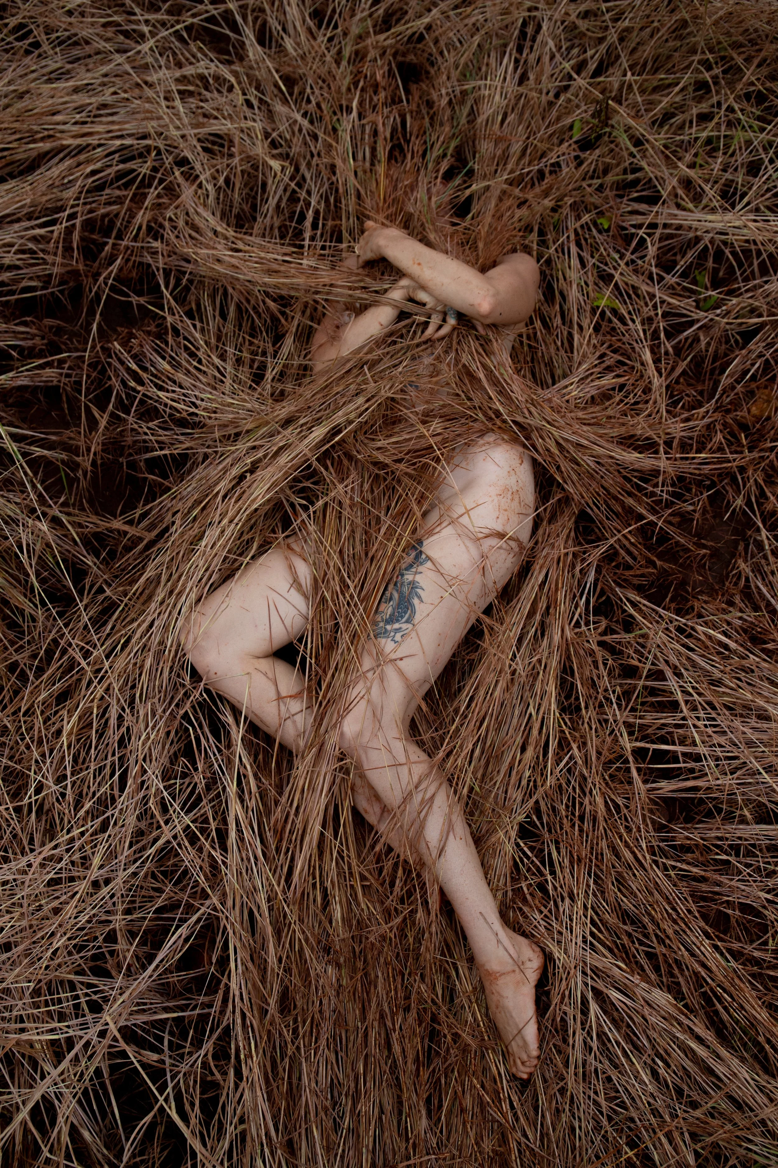 Bodies Bodies 1000 Tiny Cuts No.1