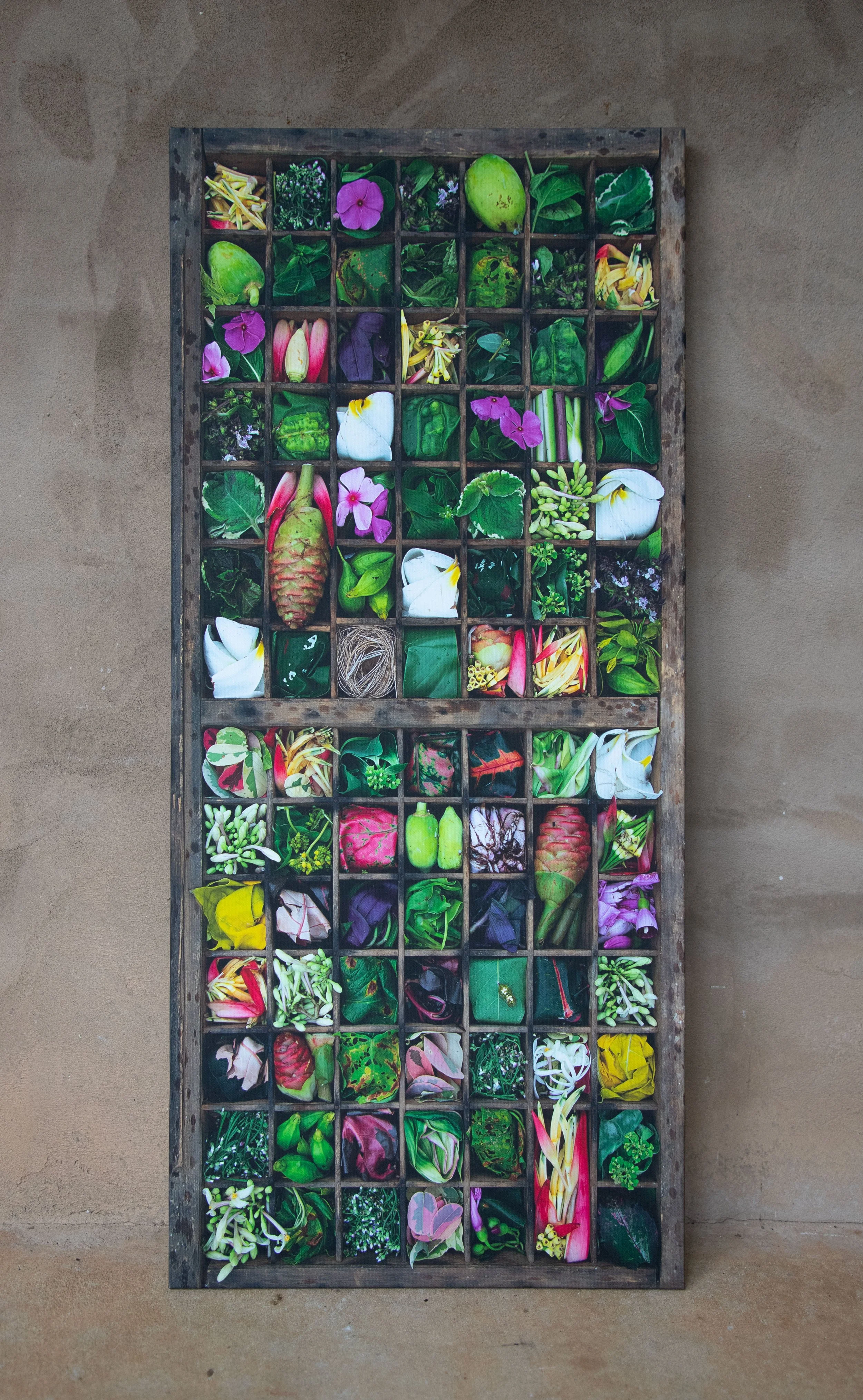 Drawer8_Plants_Streched.jpg