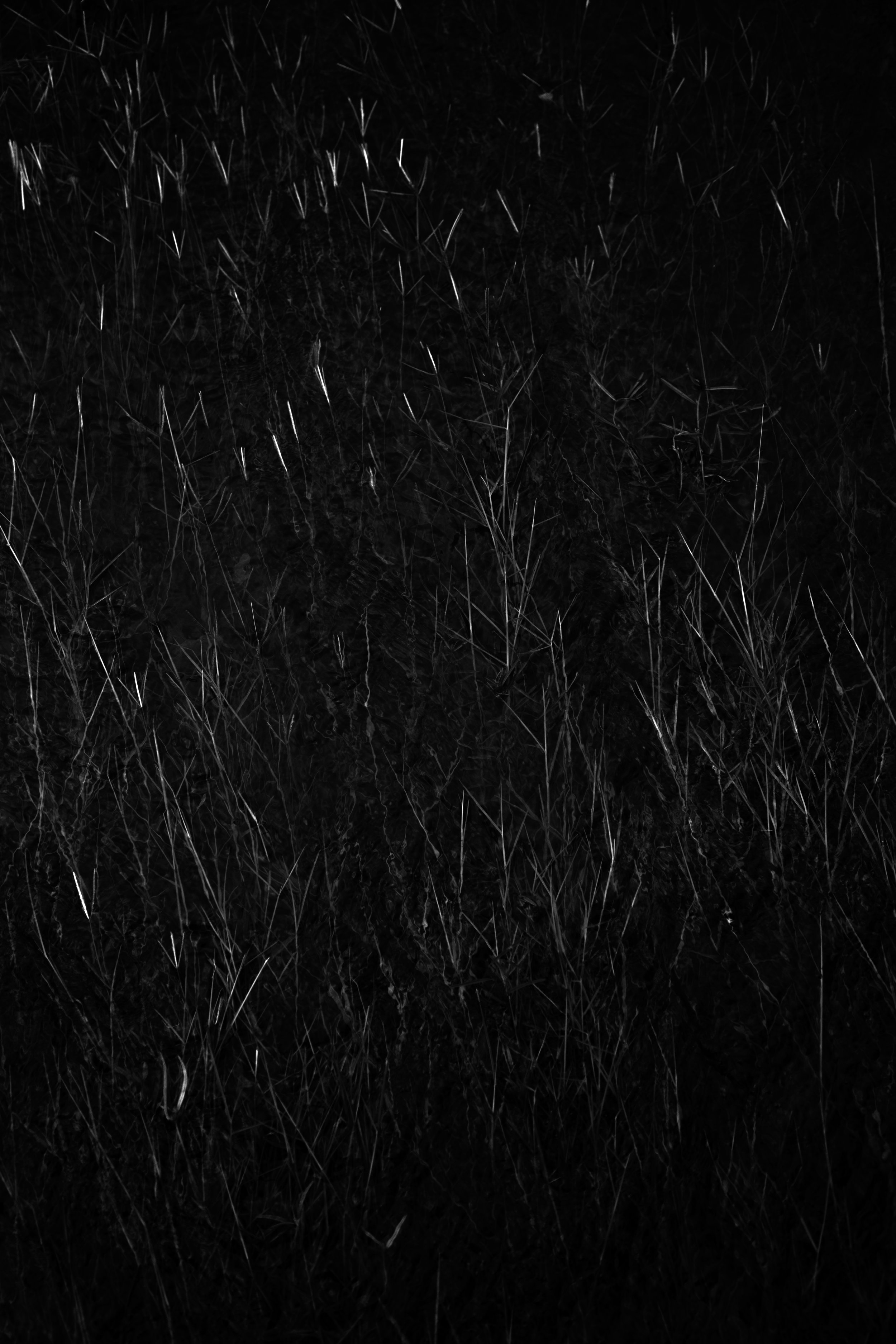 Grass and Rain