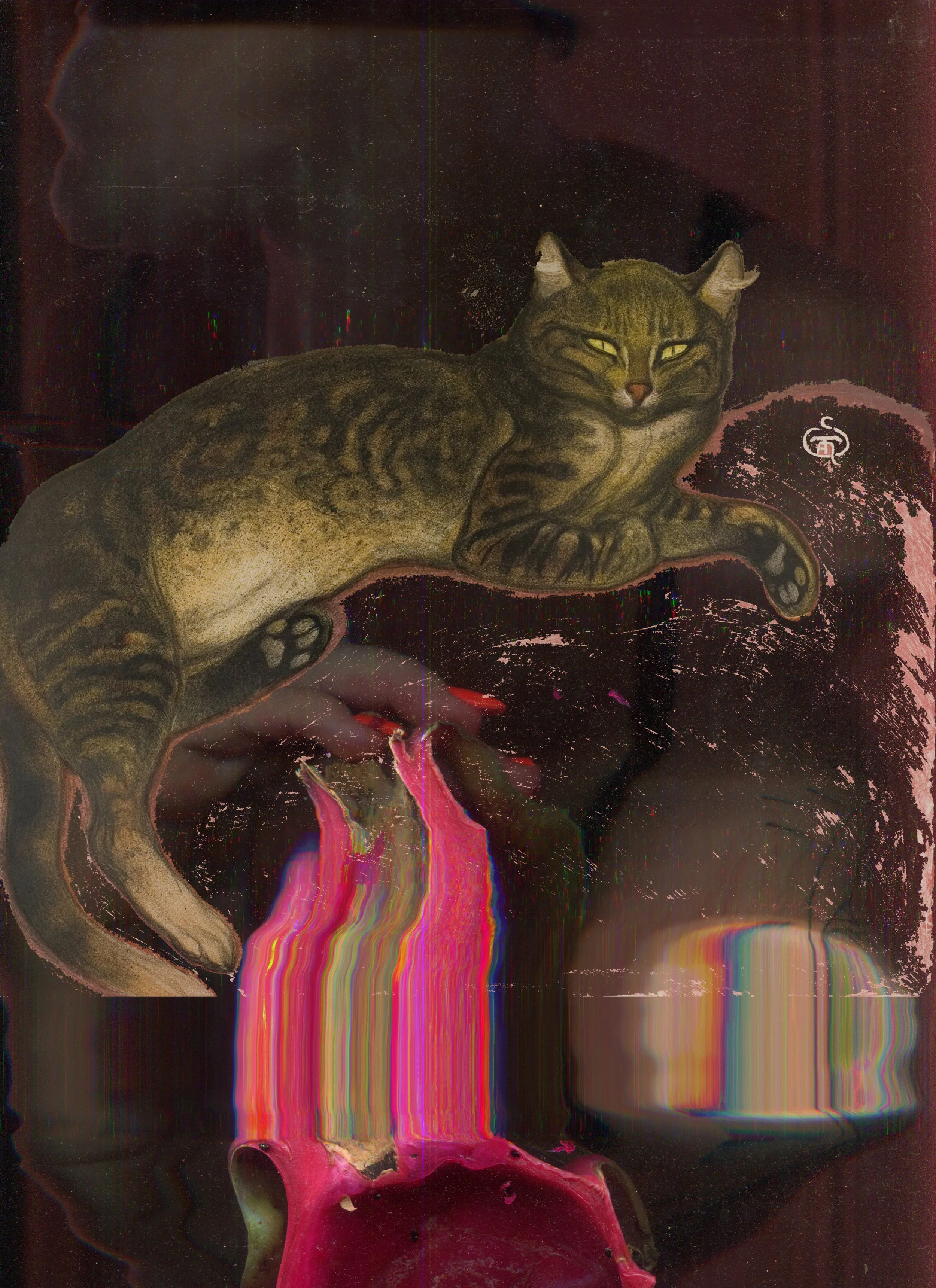 MS - Plate 012 _ Cat.jpg