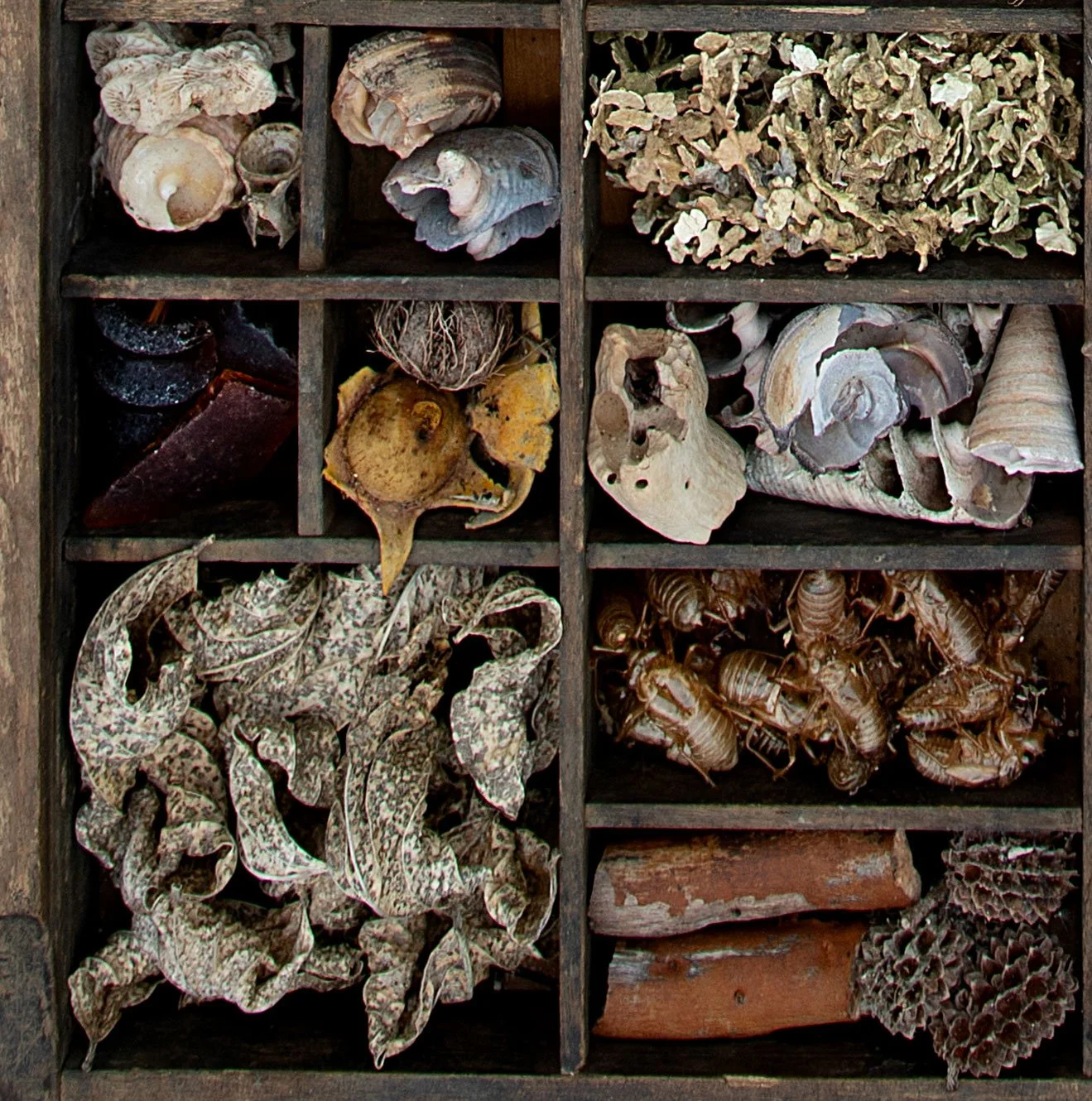 Drawer-9-FULL.jpg