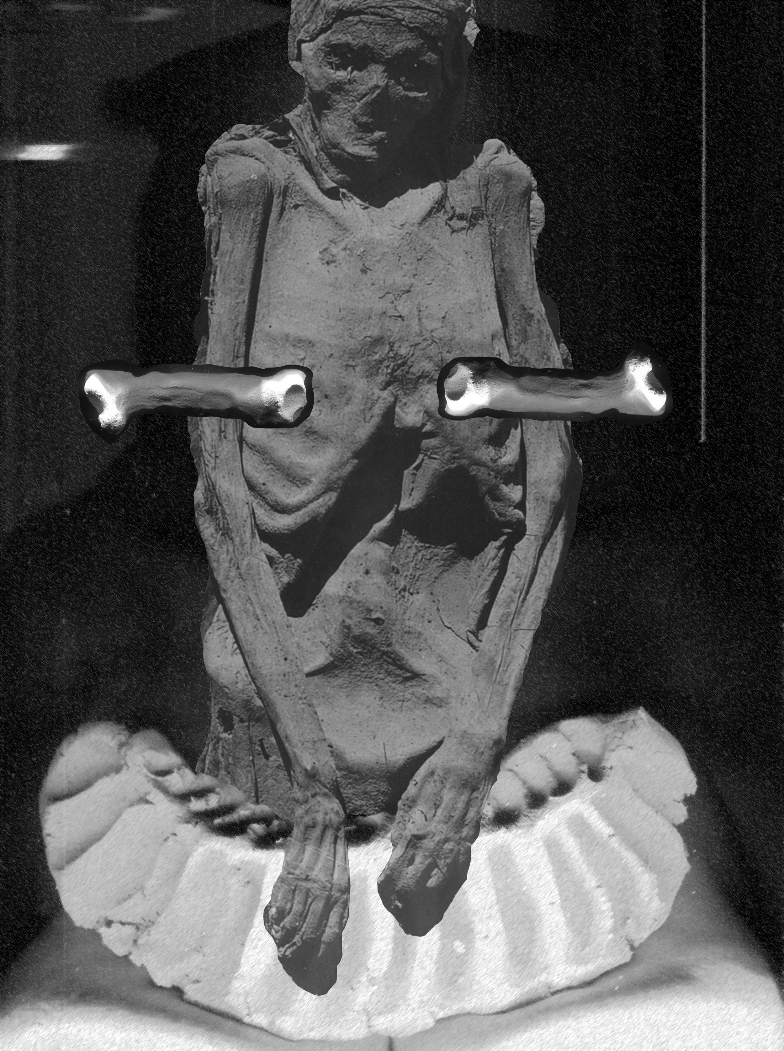 MS - Plate 028 _ Bones.jpg