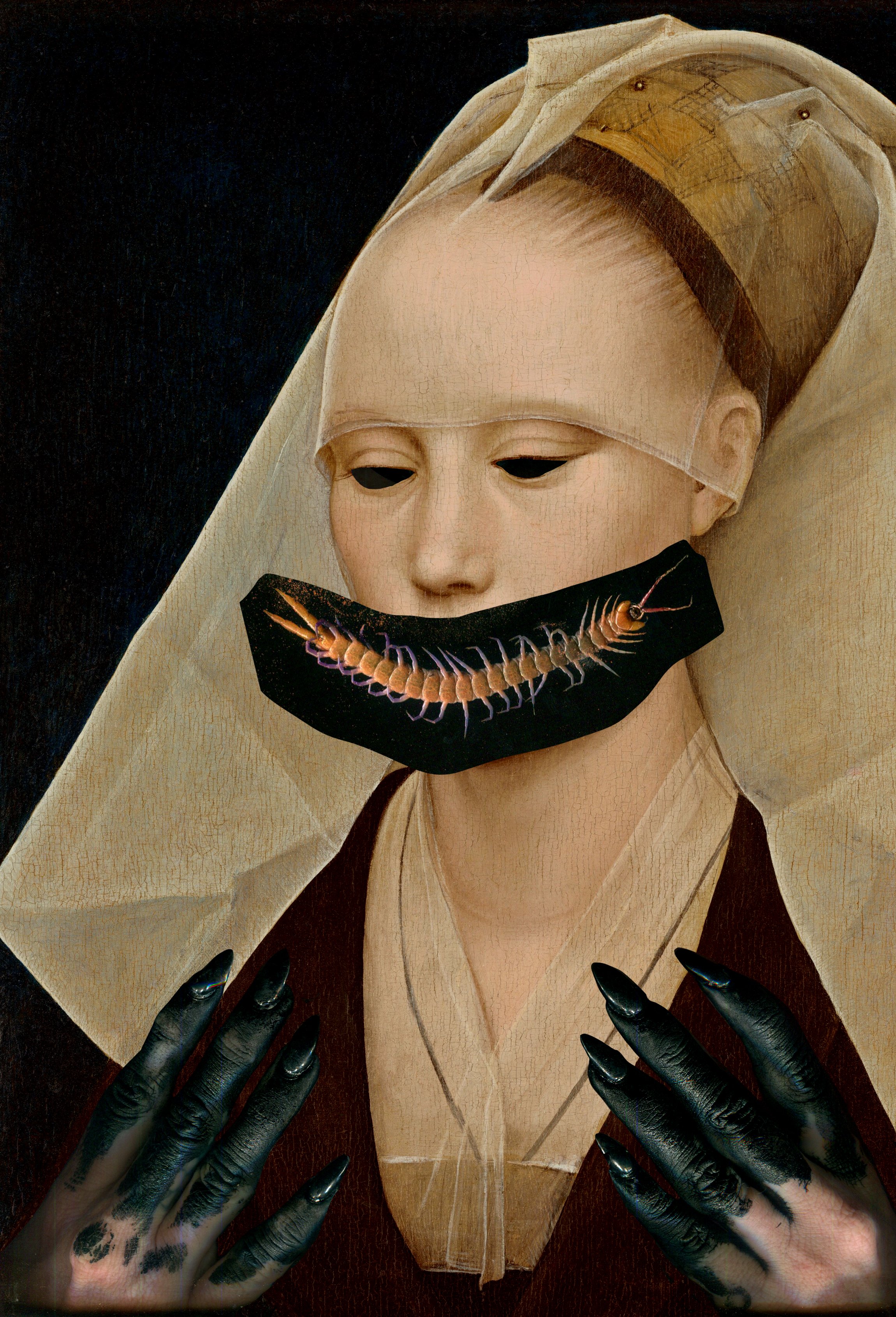 MS - Plate 003 _ Centipede.jpg