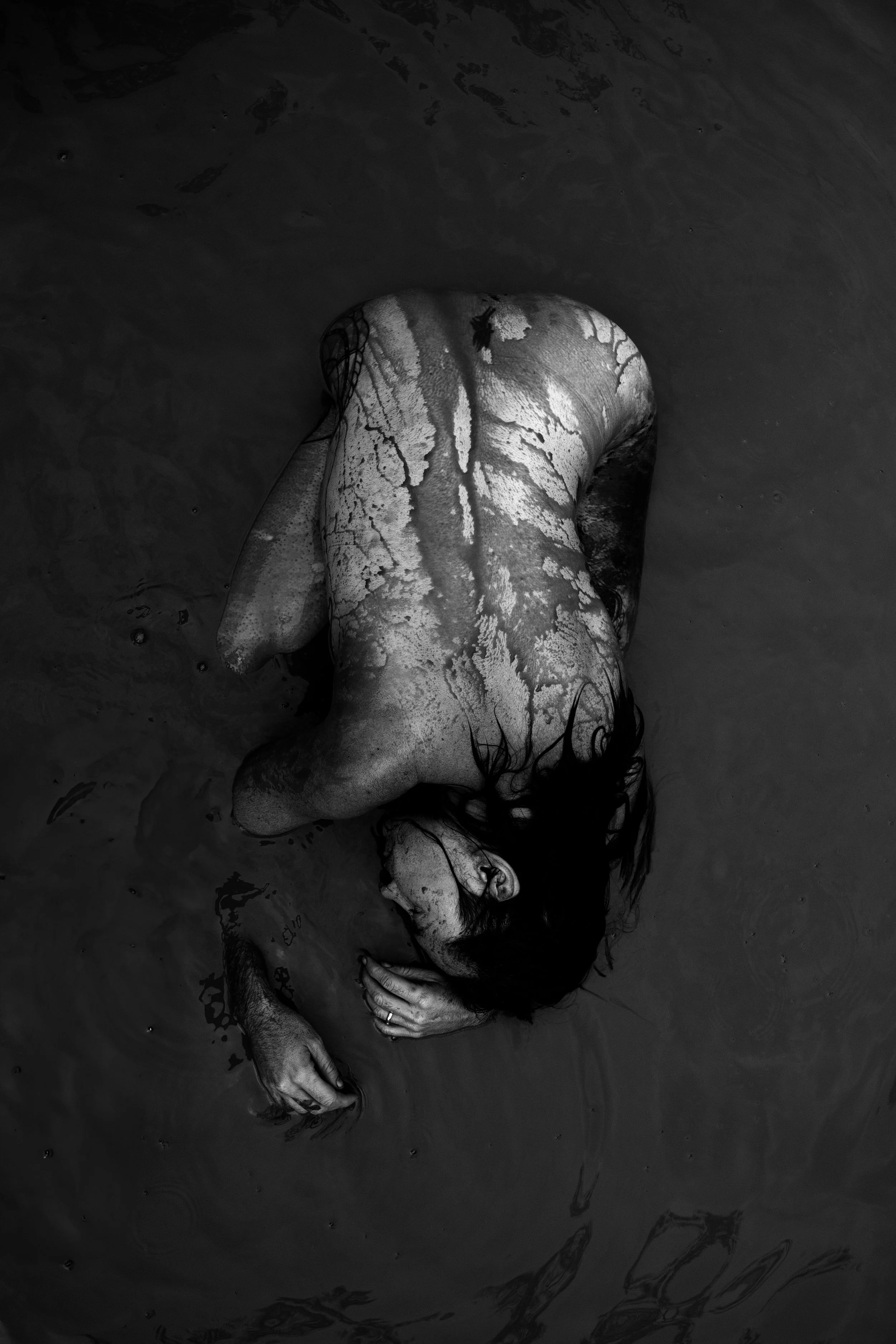 River Trees 1 - A1.jpg