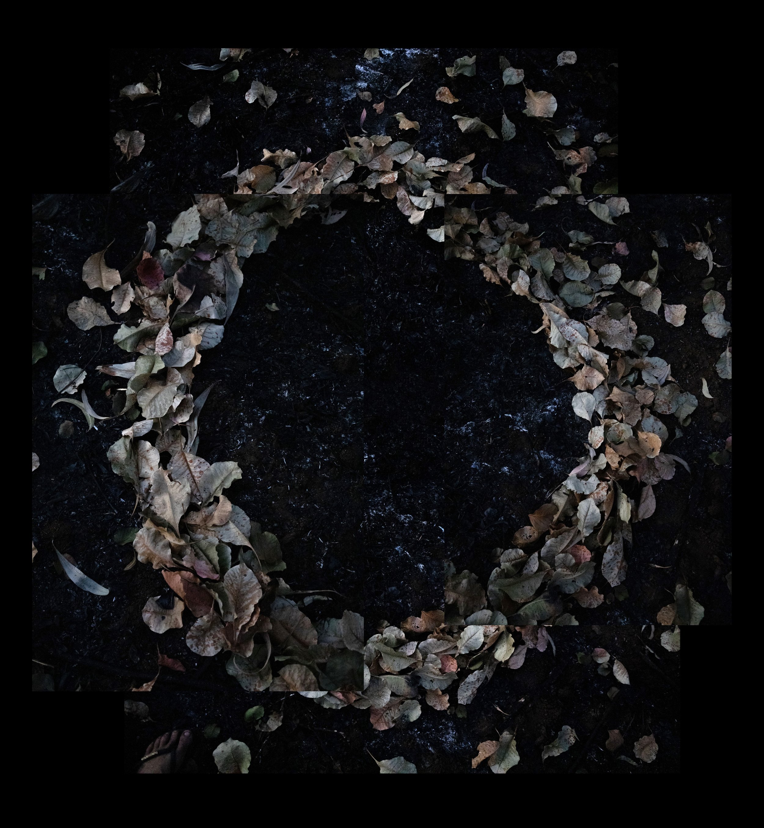 Voide-collage-closeup.jpg