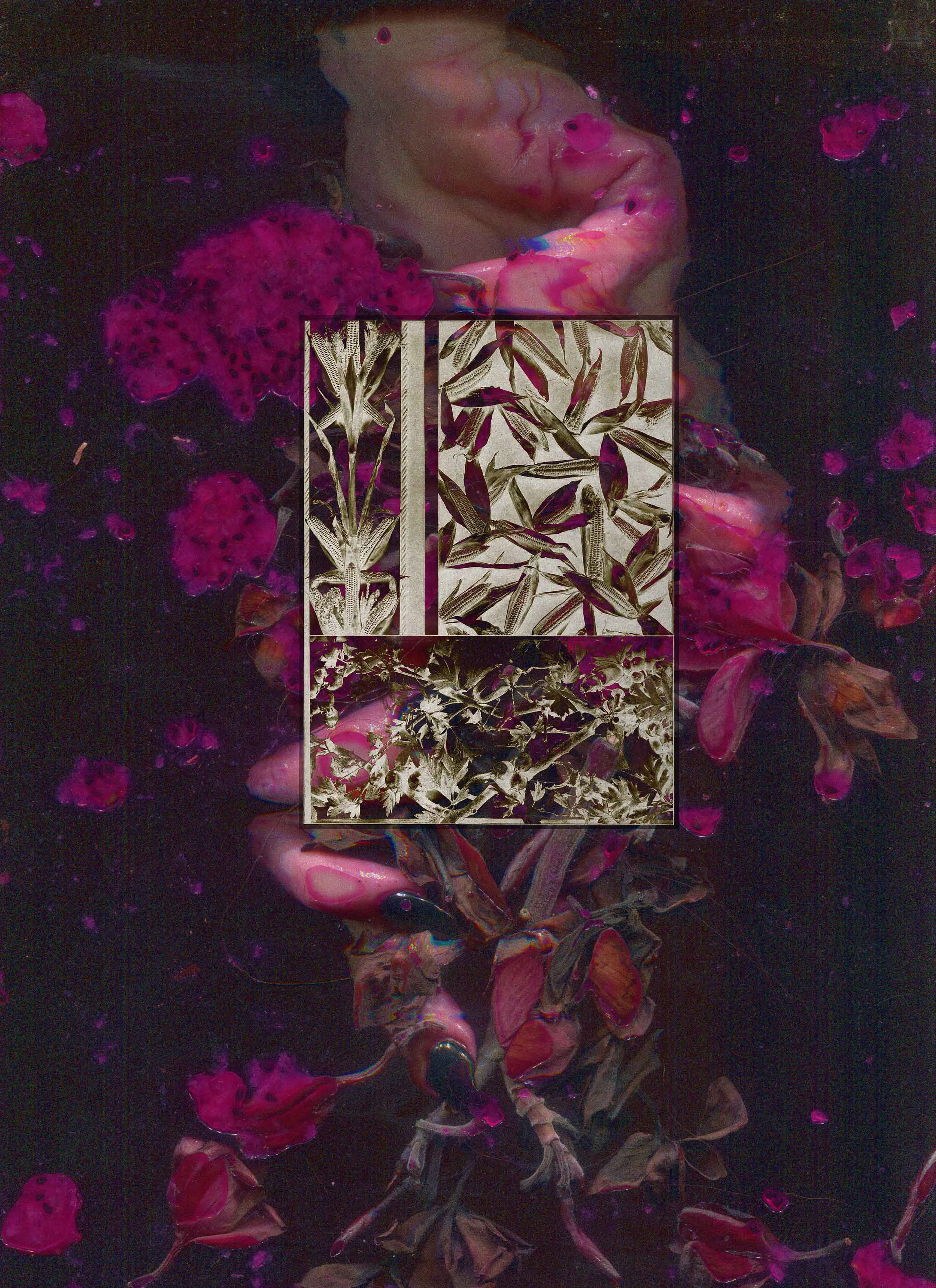 MS - Plate 025 _ Window Box.jpg