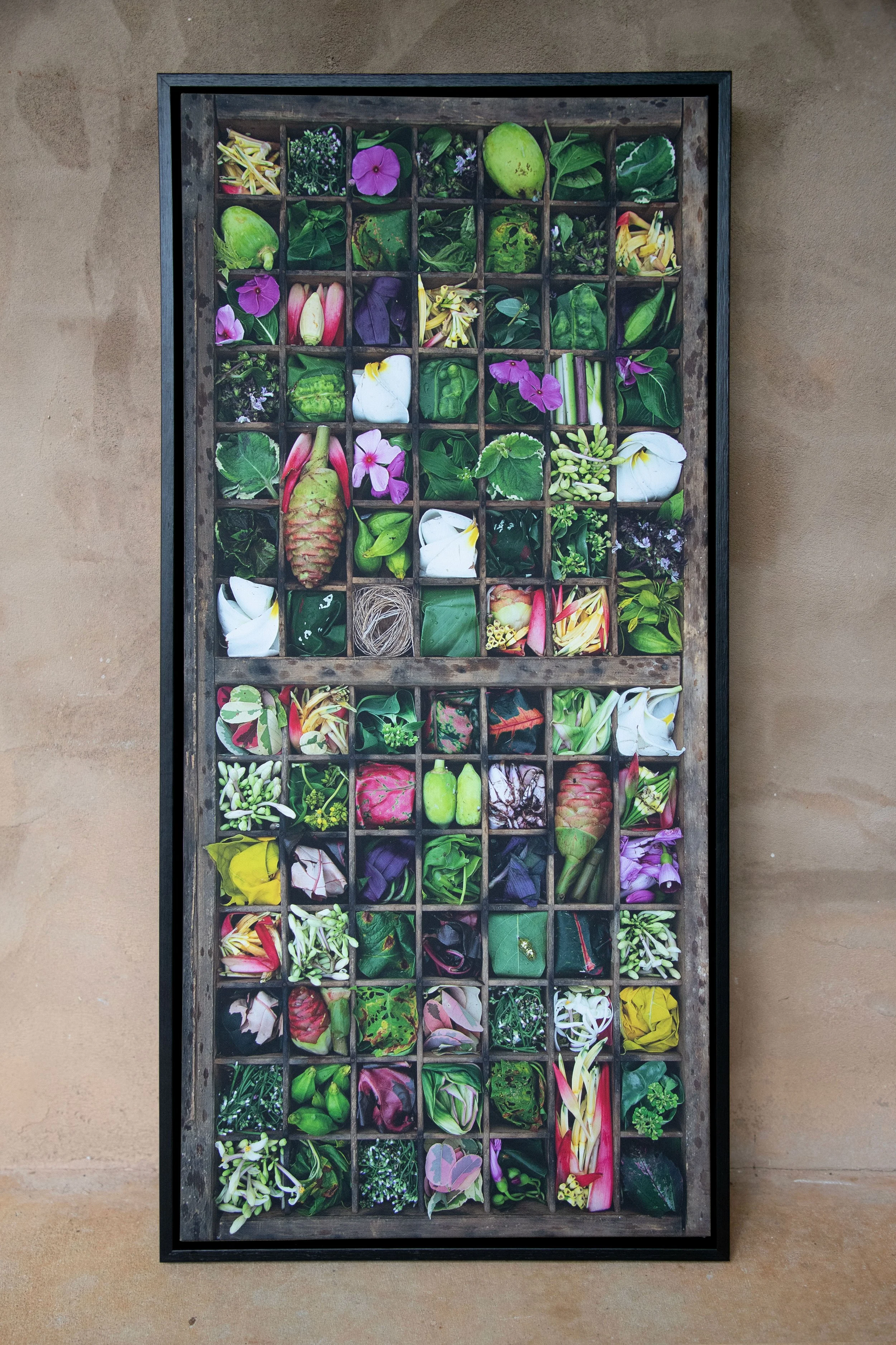 Drawer8_Plants_Framed.jpg