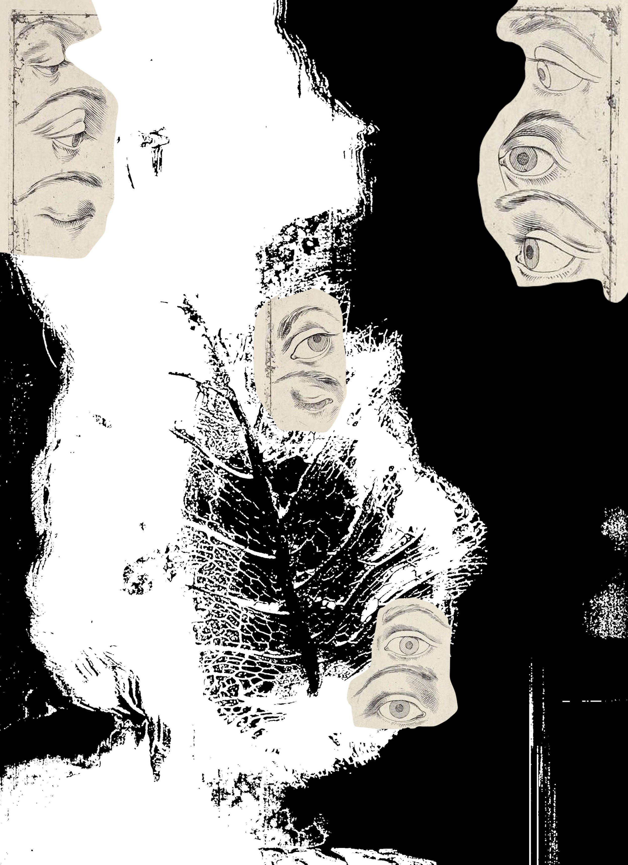 MS - Plate 019 _ Paper Eyes.jpg