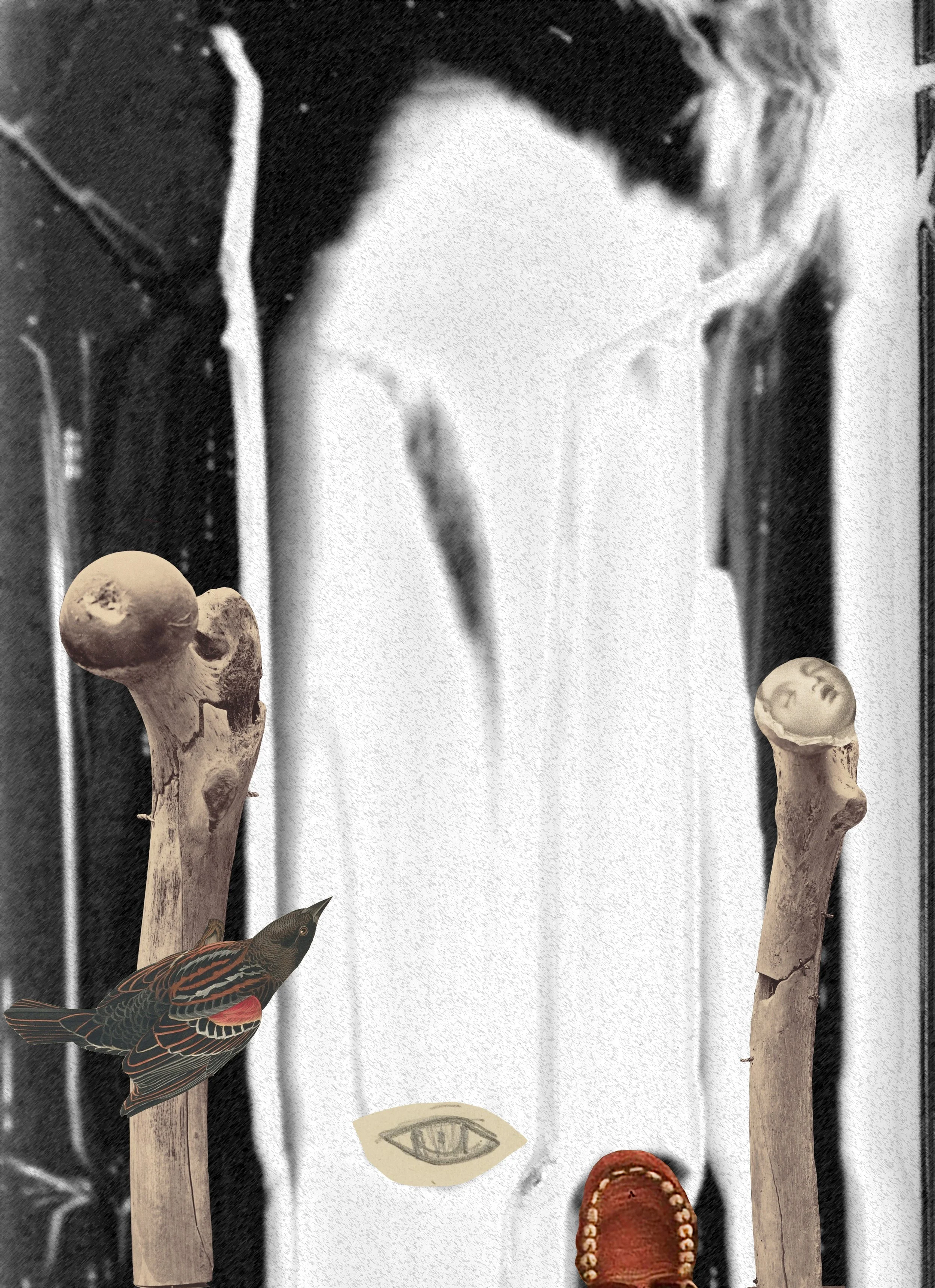 MS - Plate 030 _ Femur_.jpg