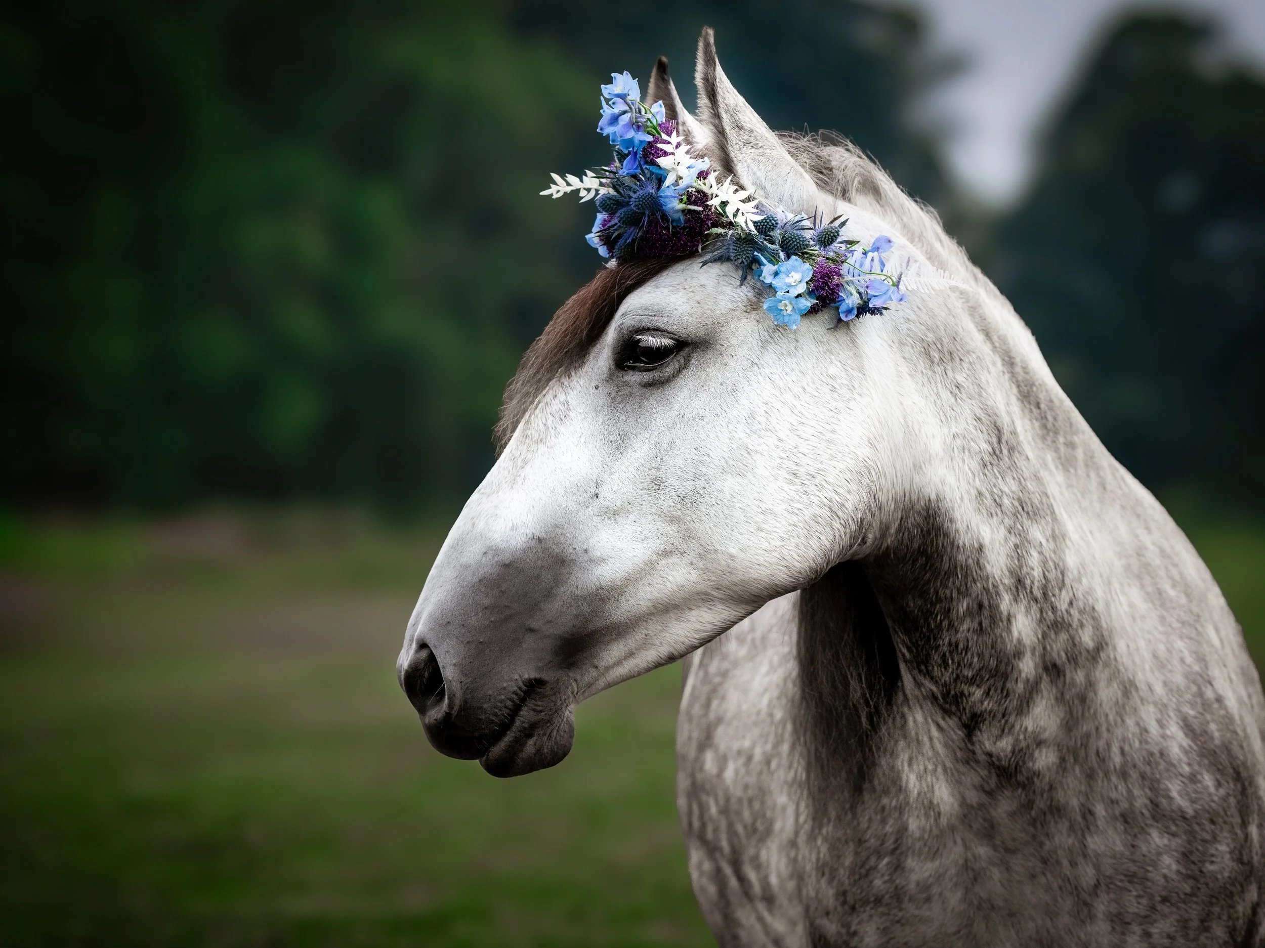 20260717 EHSC Pop Up Flower Crowns NORA_13.jpg