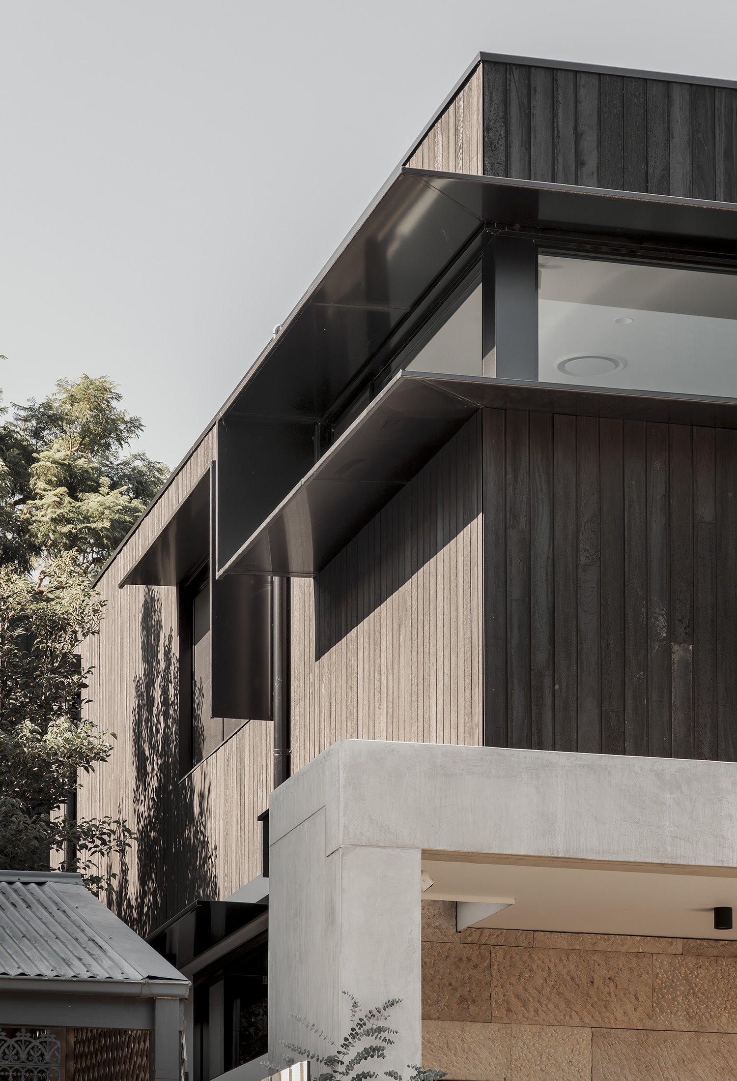 0T6A3336-Enhanced-NR copy copy.jpg