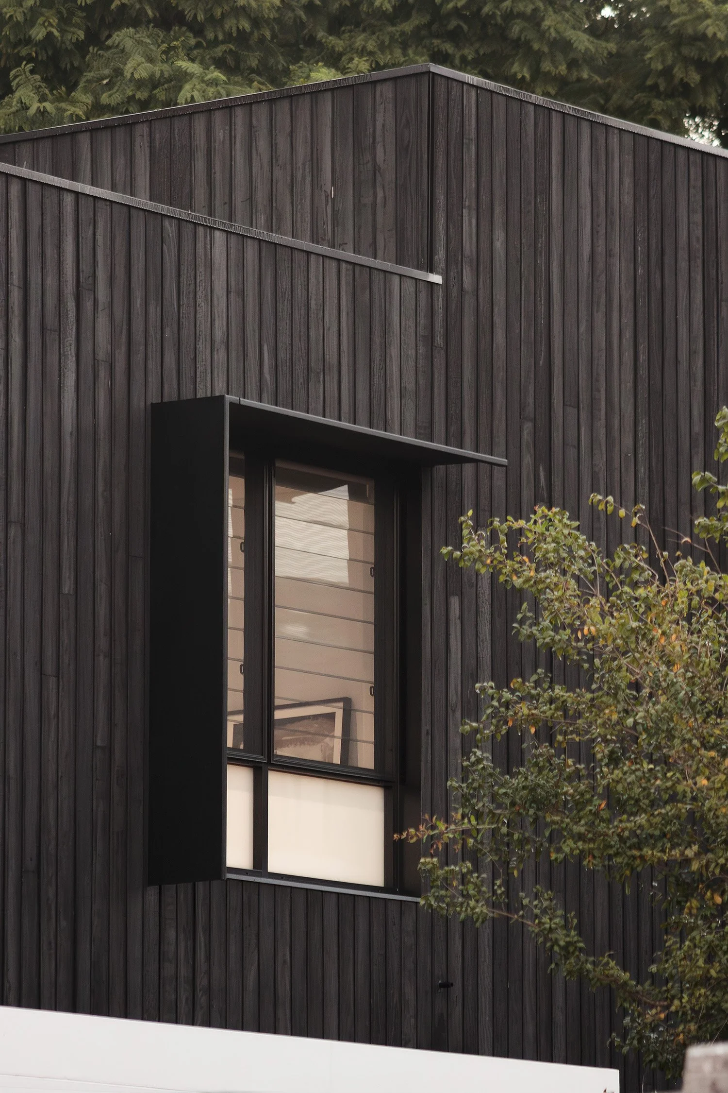 0T6A3160-Enhanced-NR copy.jpg