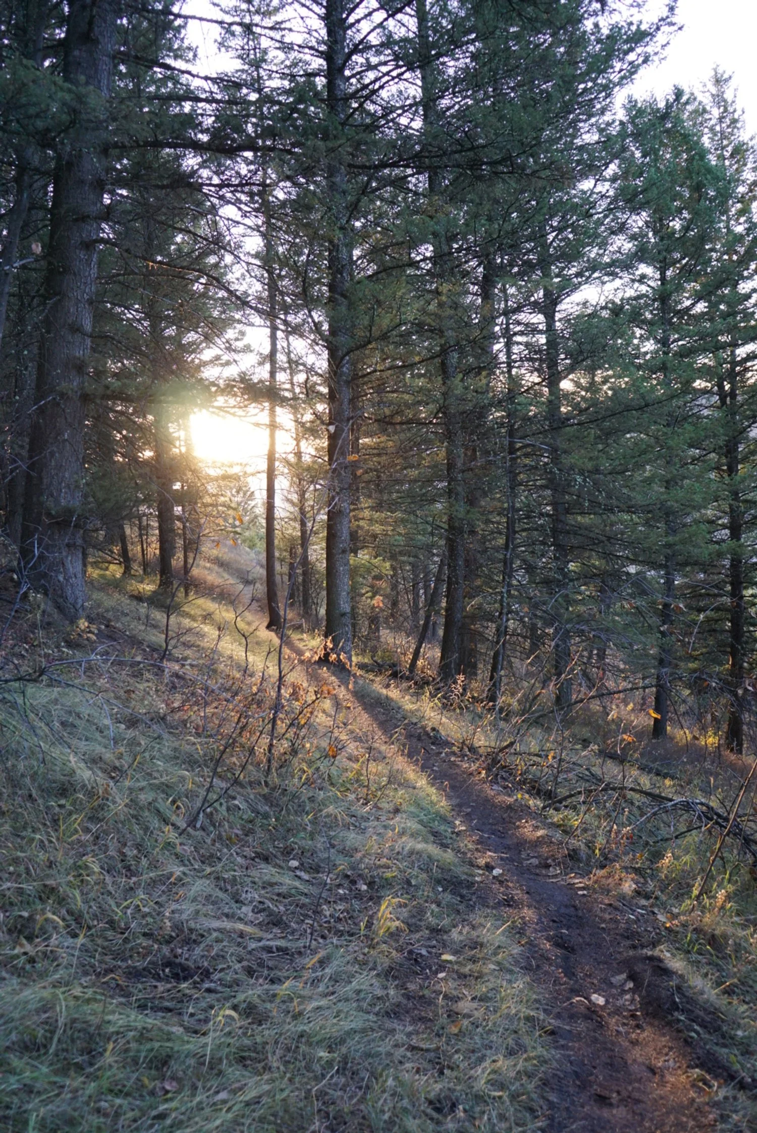 Last Light | Jackson Hole, WY | 2018 | Sony DSLR