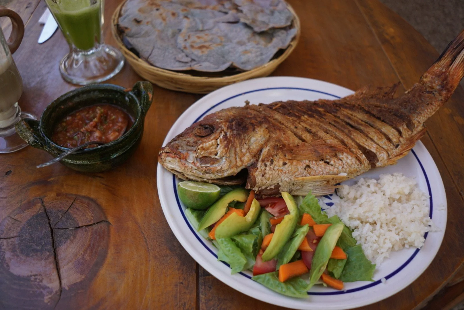 La Cosecha | Oaxaca, MX | 2018 | Sony DSLR