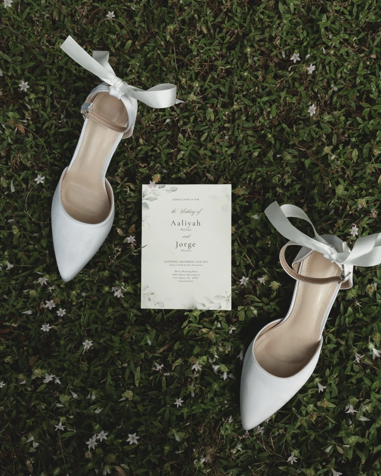 Some sneaks from A+J&rsquo;s beautiful day🌼💍
&bull;
&bull;
&bull;
&bull;
#sofiakatephotography #tampaweddingphotographer #floridaweddingphotographer #swflweddingphotographer #weddingsneakpeek St. Petersburg Wedding Photographer, St. Pete Wedding Ph