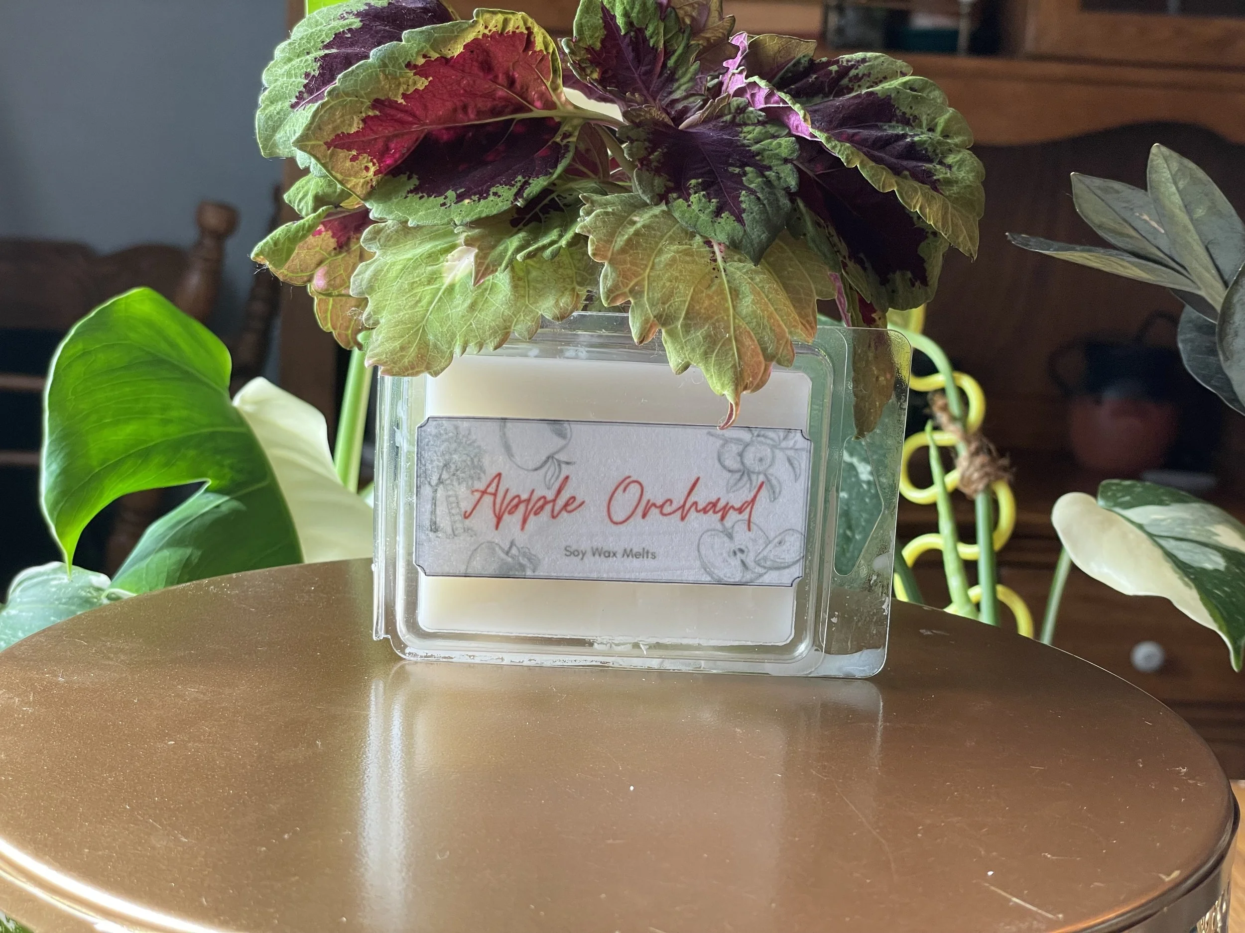 Autumn Collection