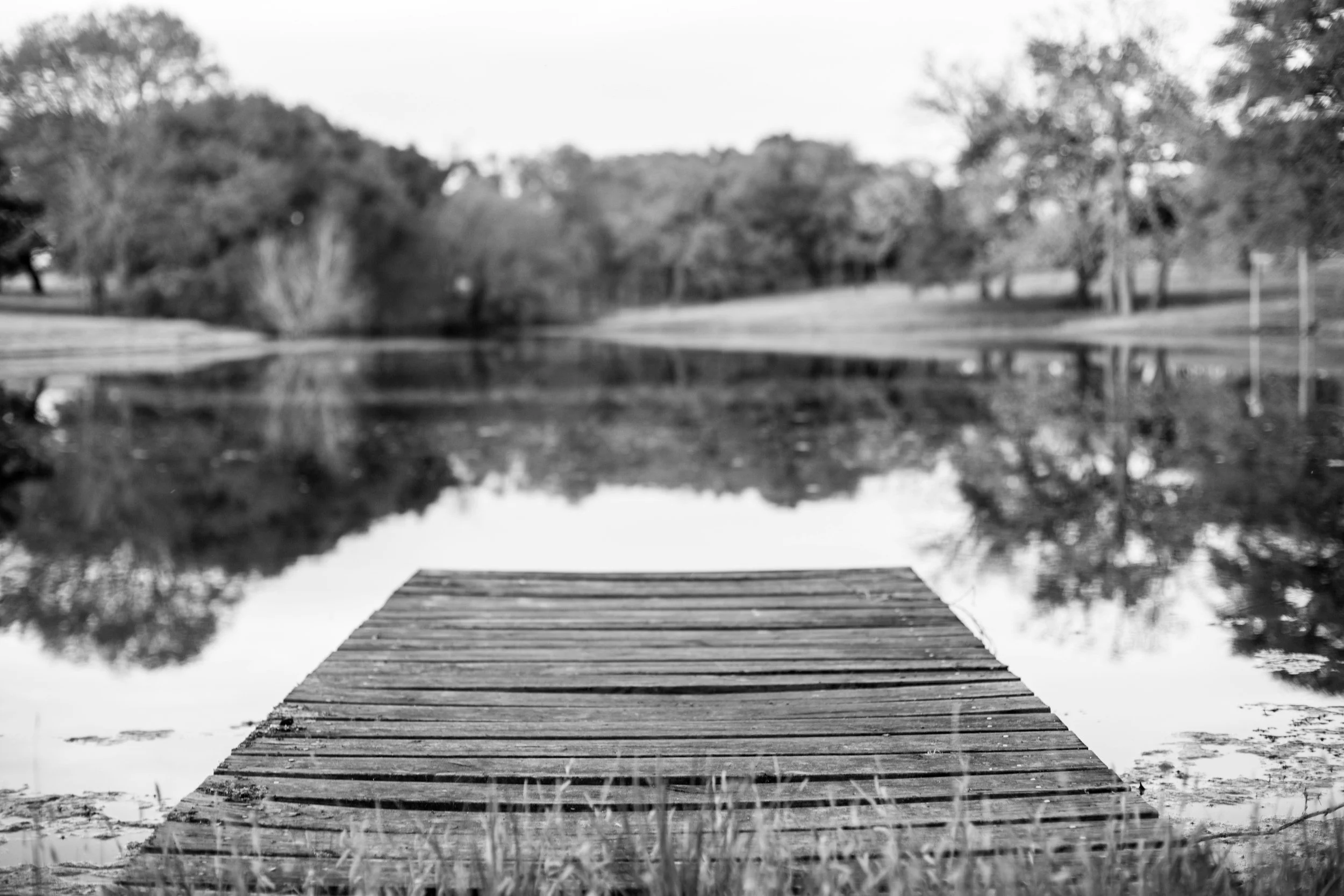 How to Find Fish in Ponds Across North Texas