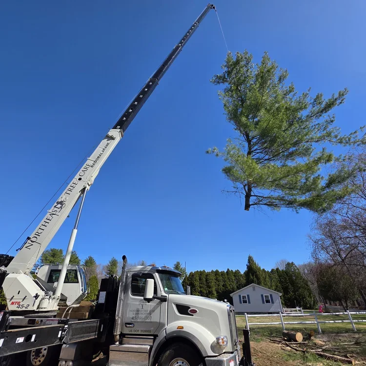 Insurance Cancellations: An Issue in MA