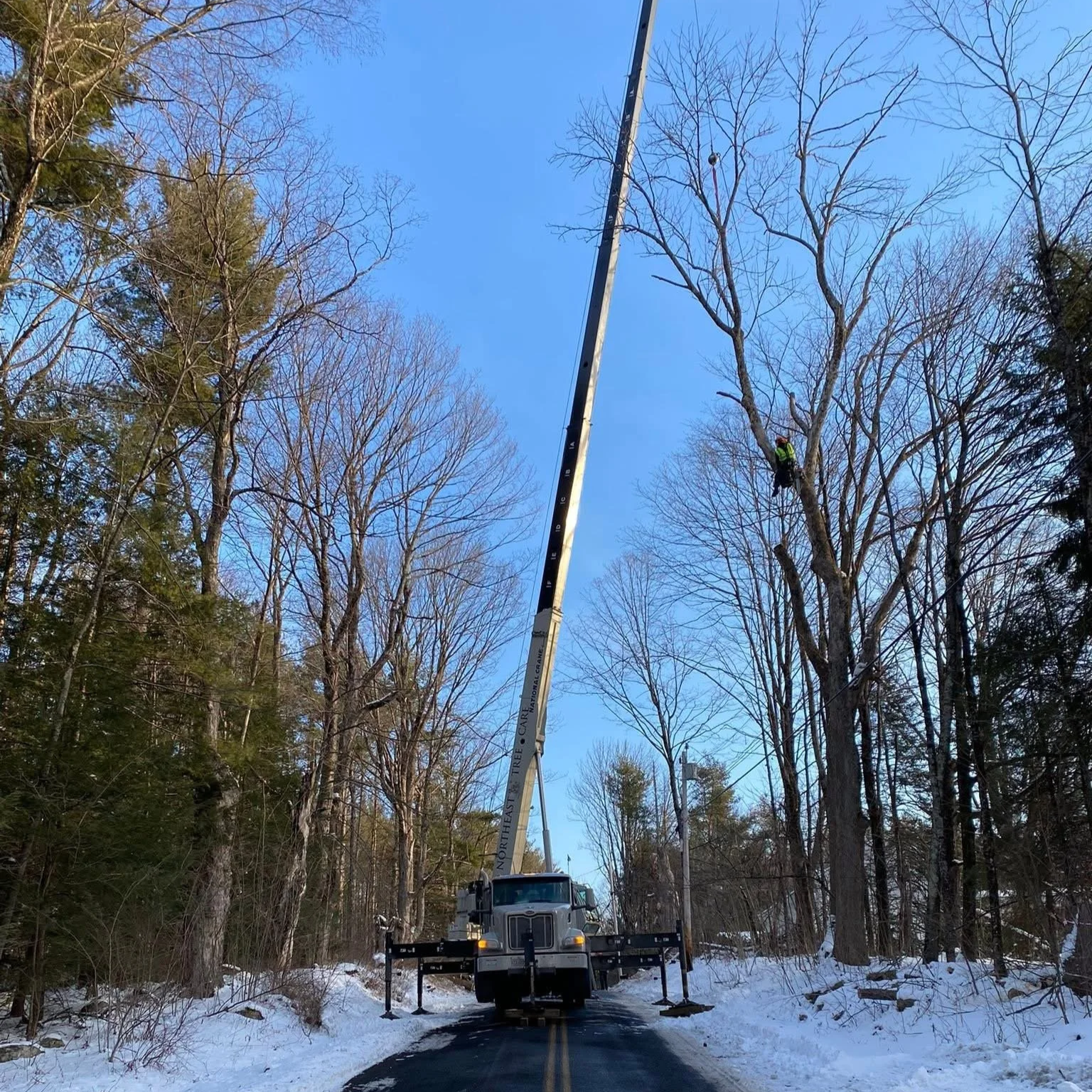 Late Winter - Early Spring ‘26