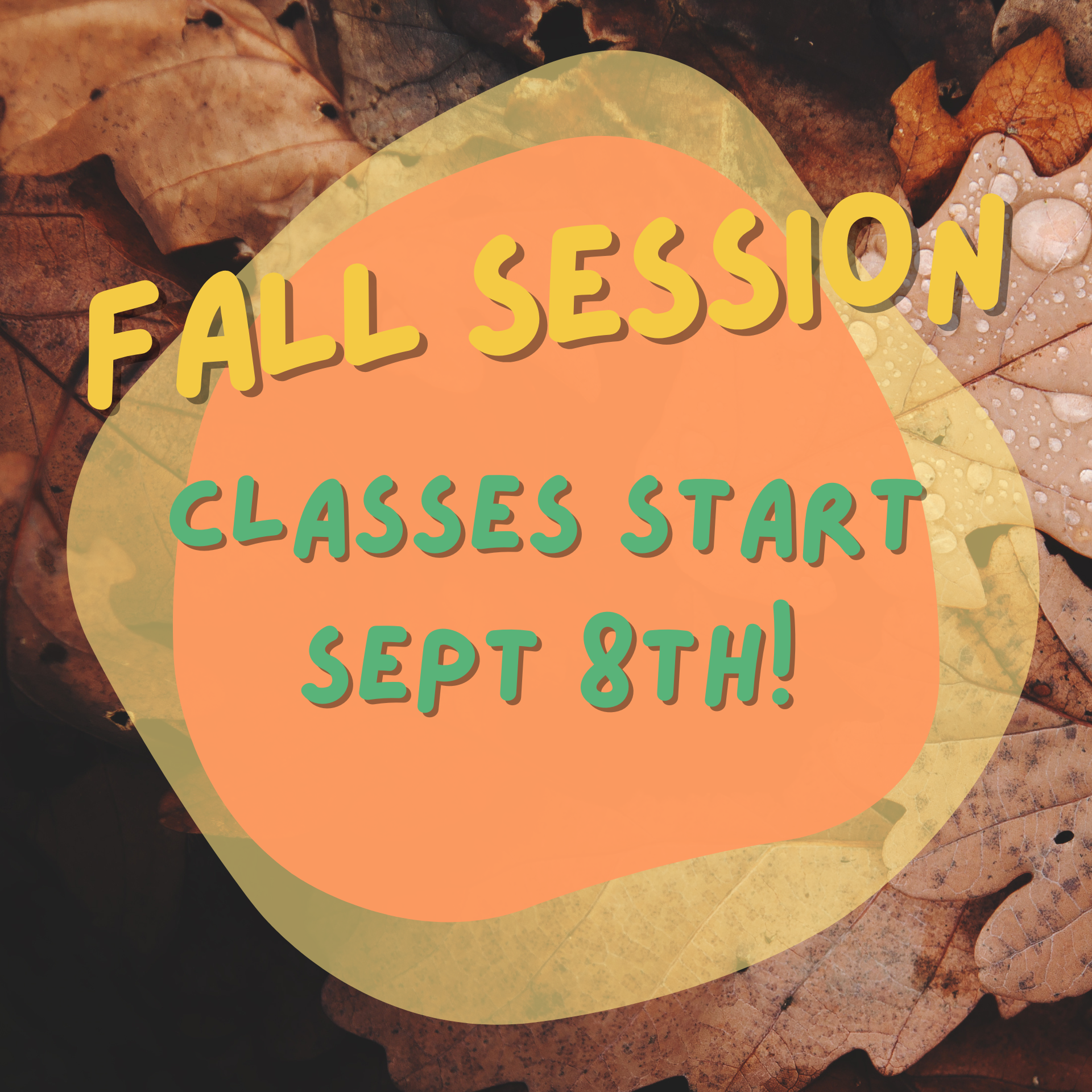 Fall Session Starts!