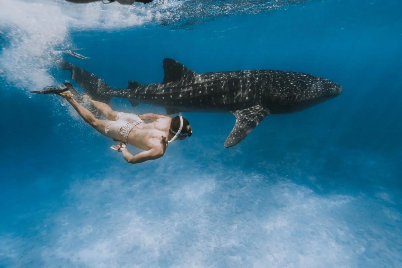 How far could your life go if language barriers no longer existed?