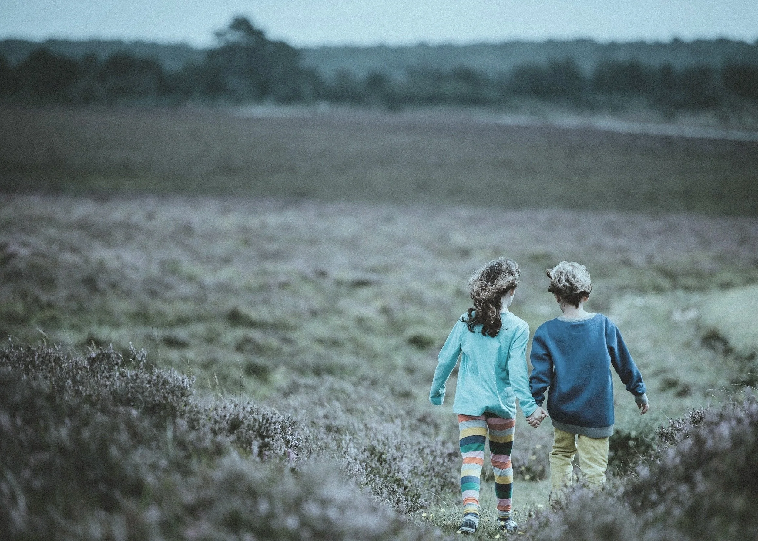 Two children holding hands, walking on a grassy field with purple flowers, in a rural landscape with trees in the distance during dusk.