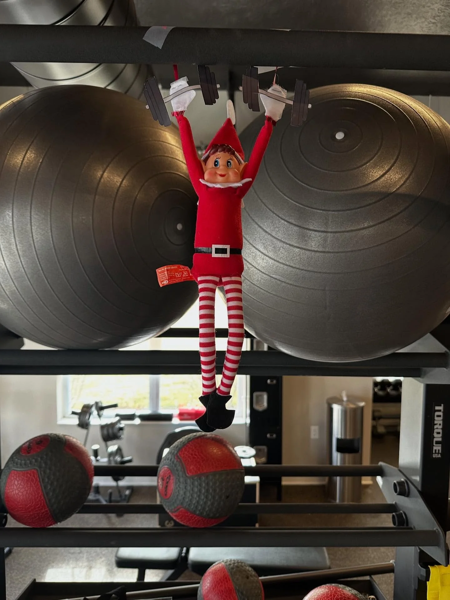 🎄💪 &ldquo;The best way to spread Christmas cheer is lifting heavy and shifting gears!&rdquo; &mdash; Buddy the Elf
Buddy just discovered the Buckstone Flats Gym, and he&rsquo;s jumping for joy (and maybe doing box jumps too). 🤸&zwj;♂️✨
Our gym giv