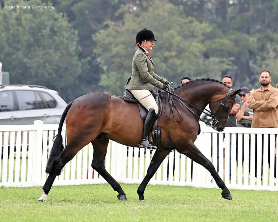 Elite Equine Athlete - Faberge