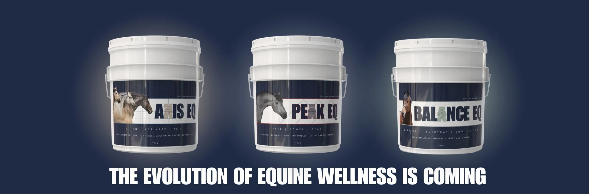 Equine Wellness co.