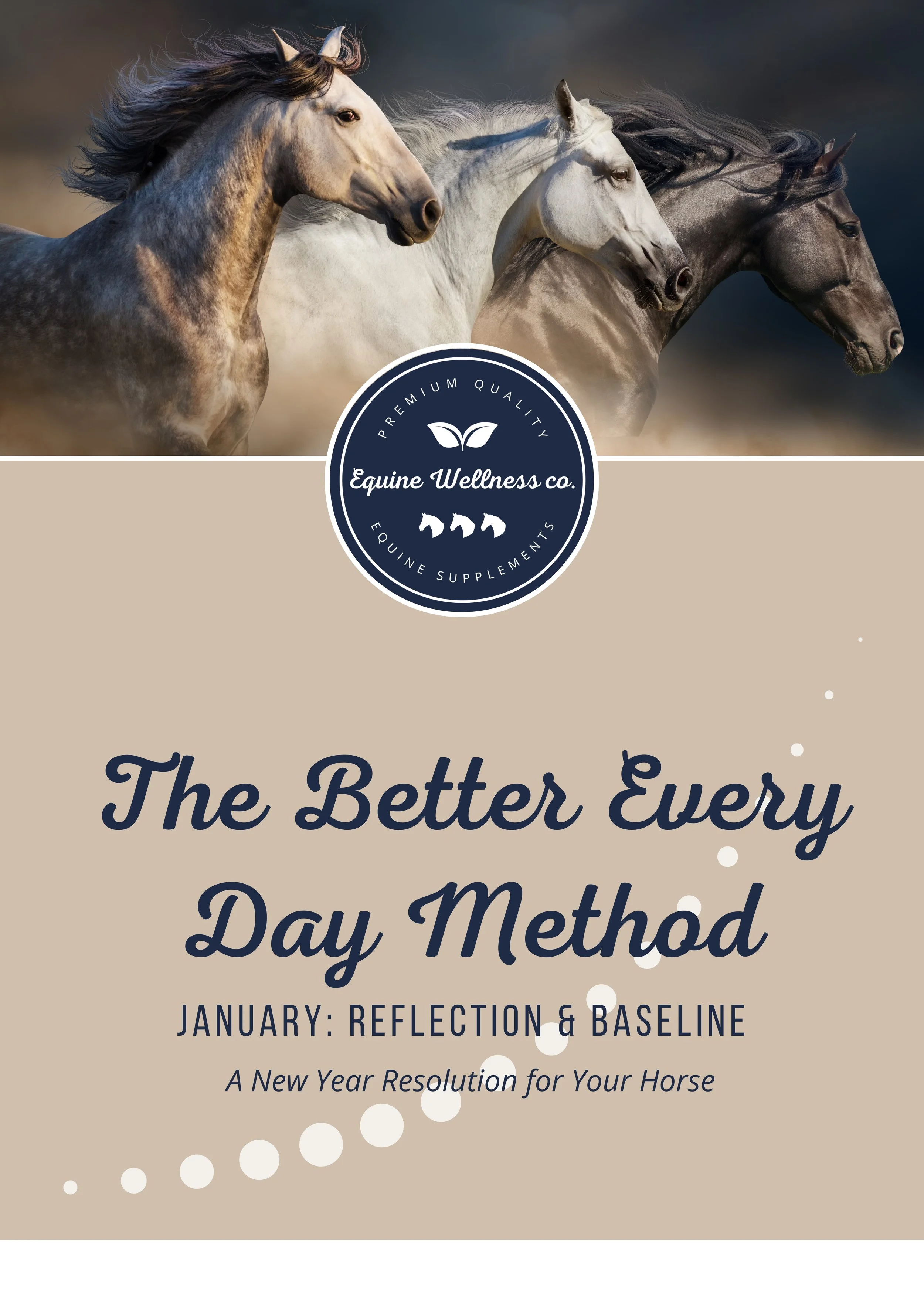 The Better Every Day Method January Workbook.jpg