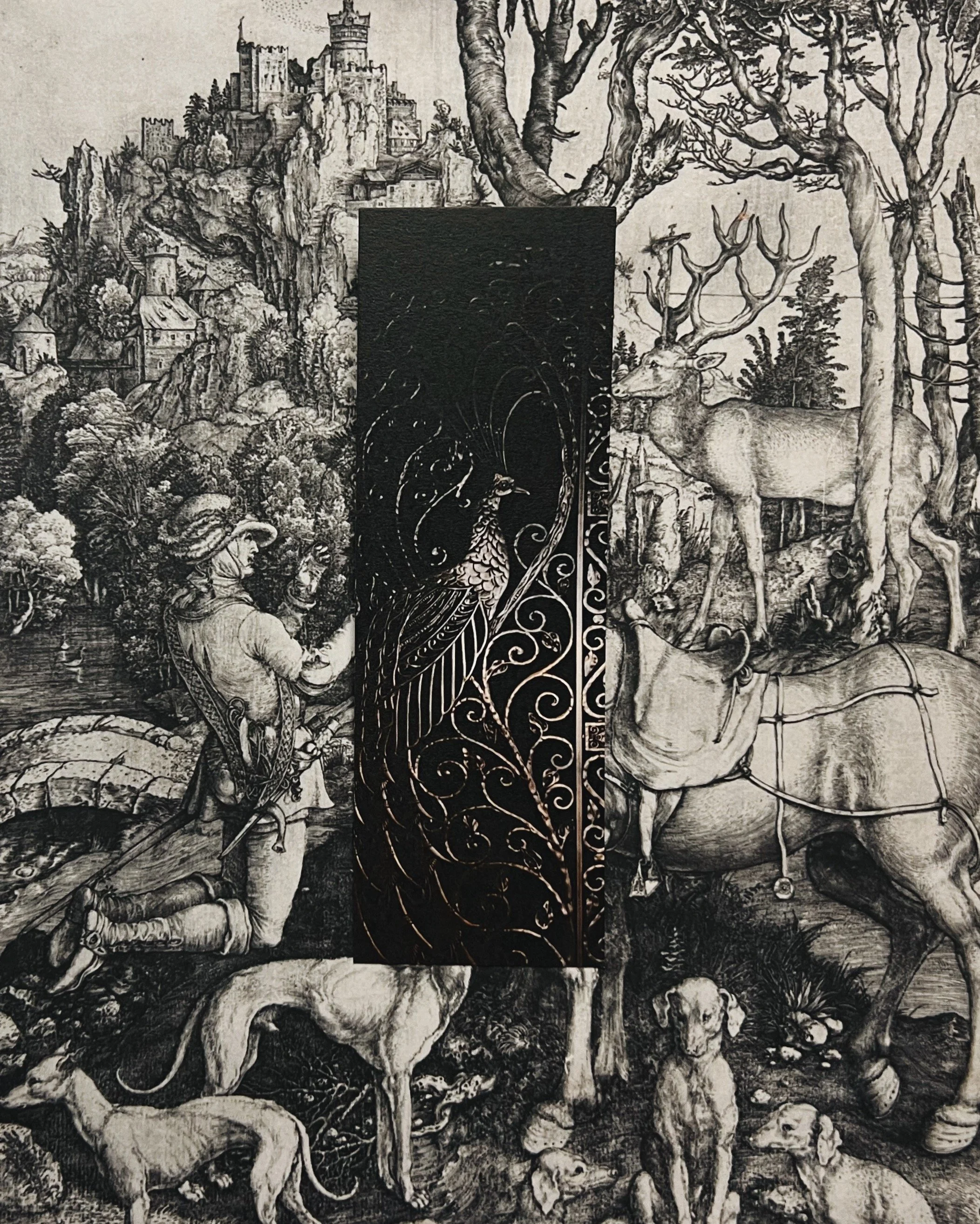 peacock ✸ bookmark