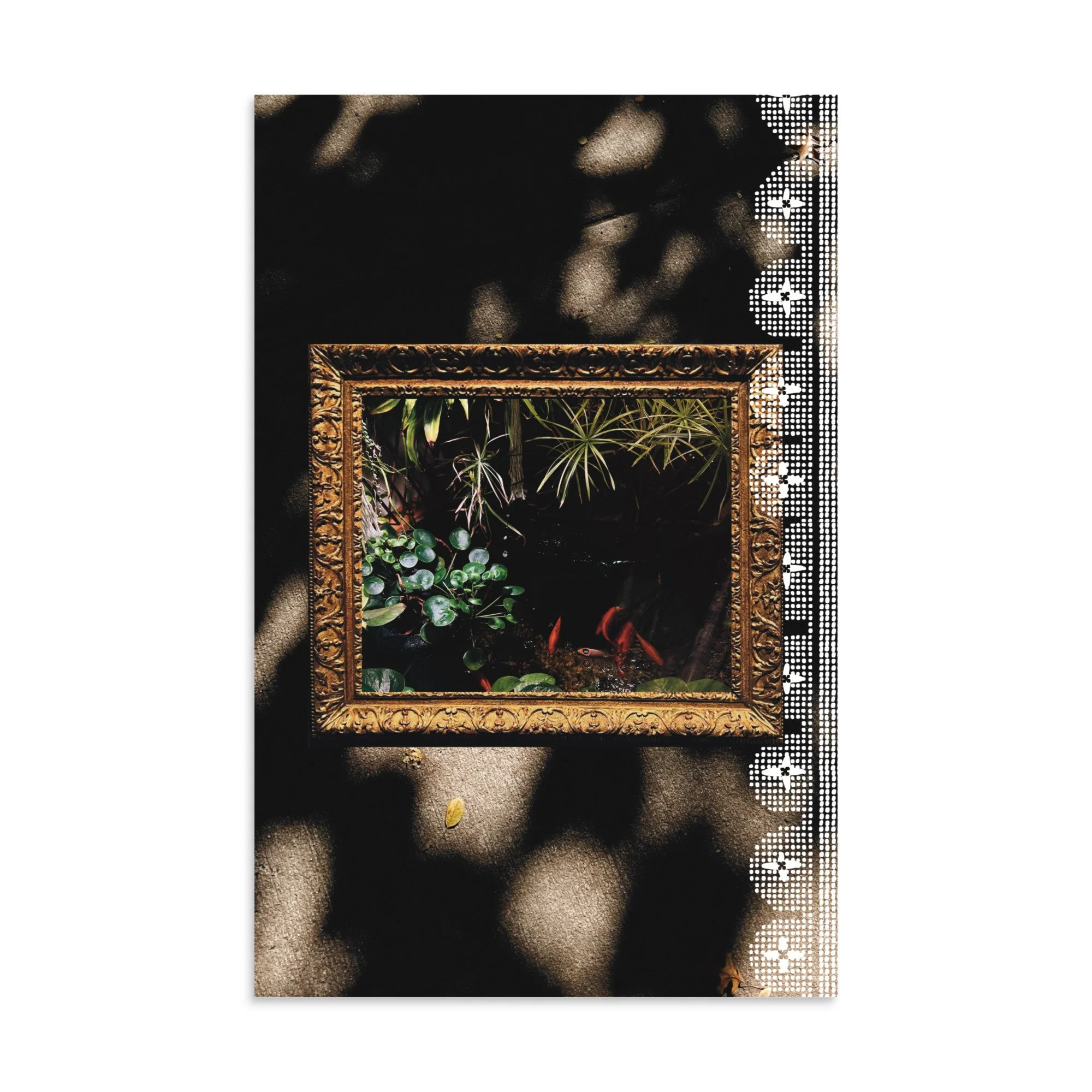 Fishies ✸ Art Print