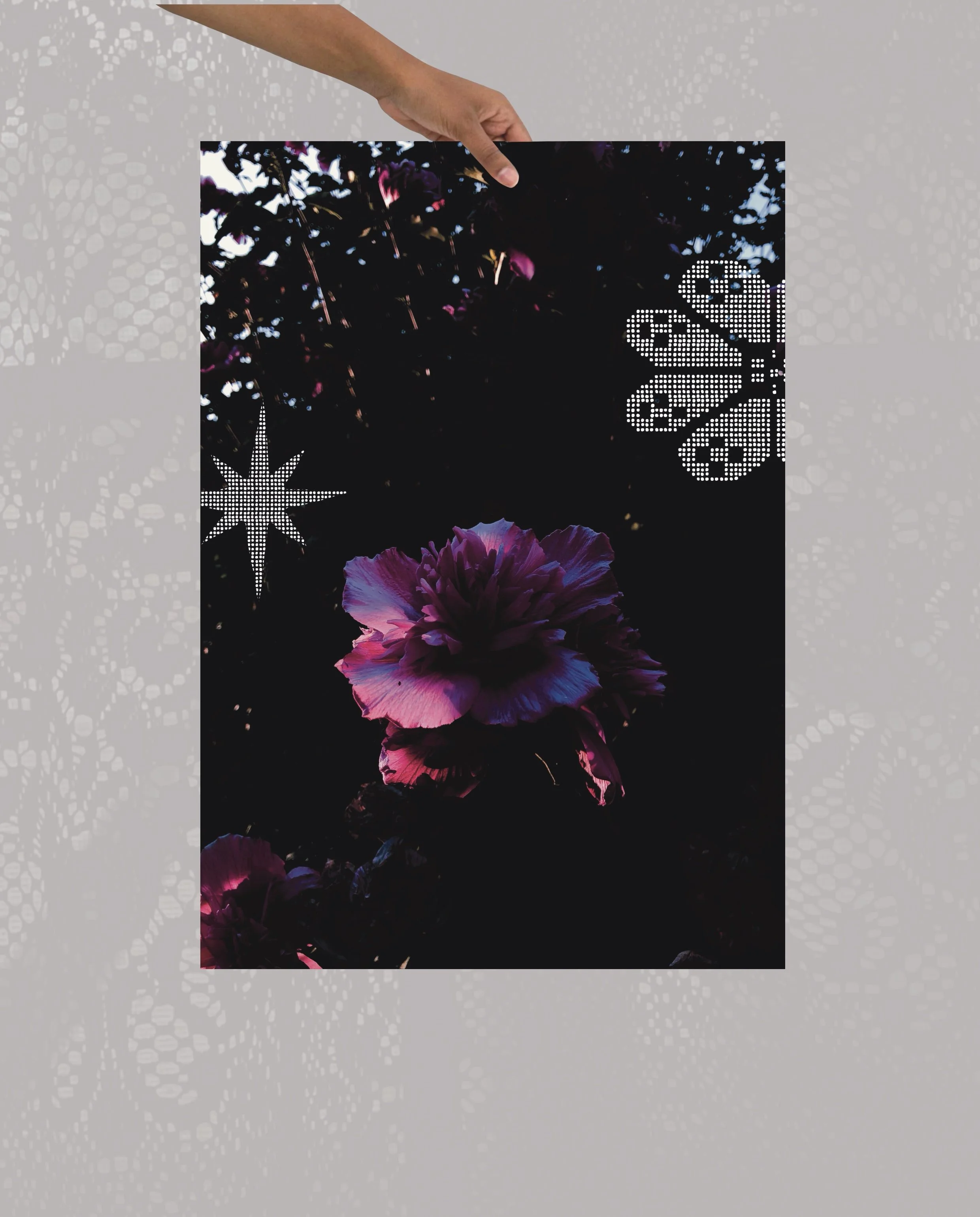 Grandma's Garden ✸ Art Print