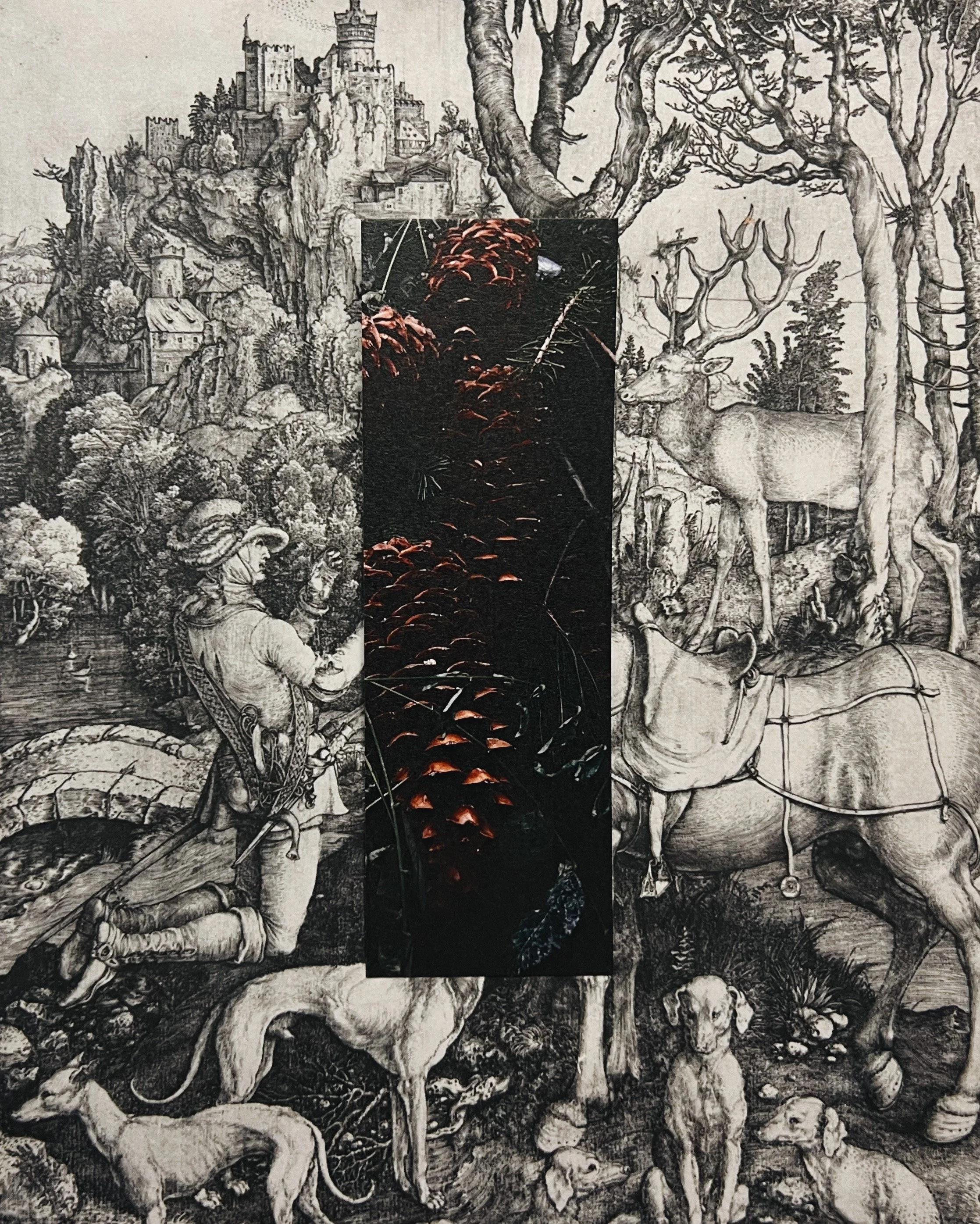 pinecone ✸ bookmark