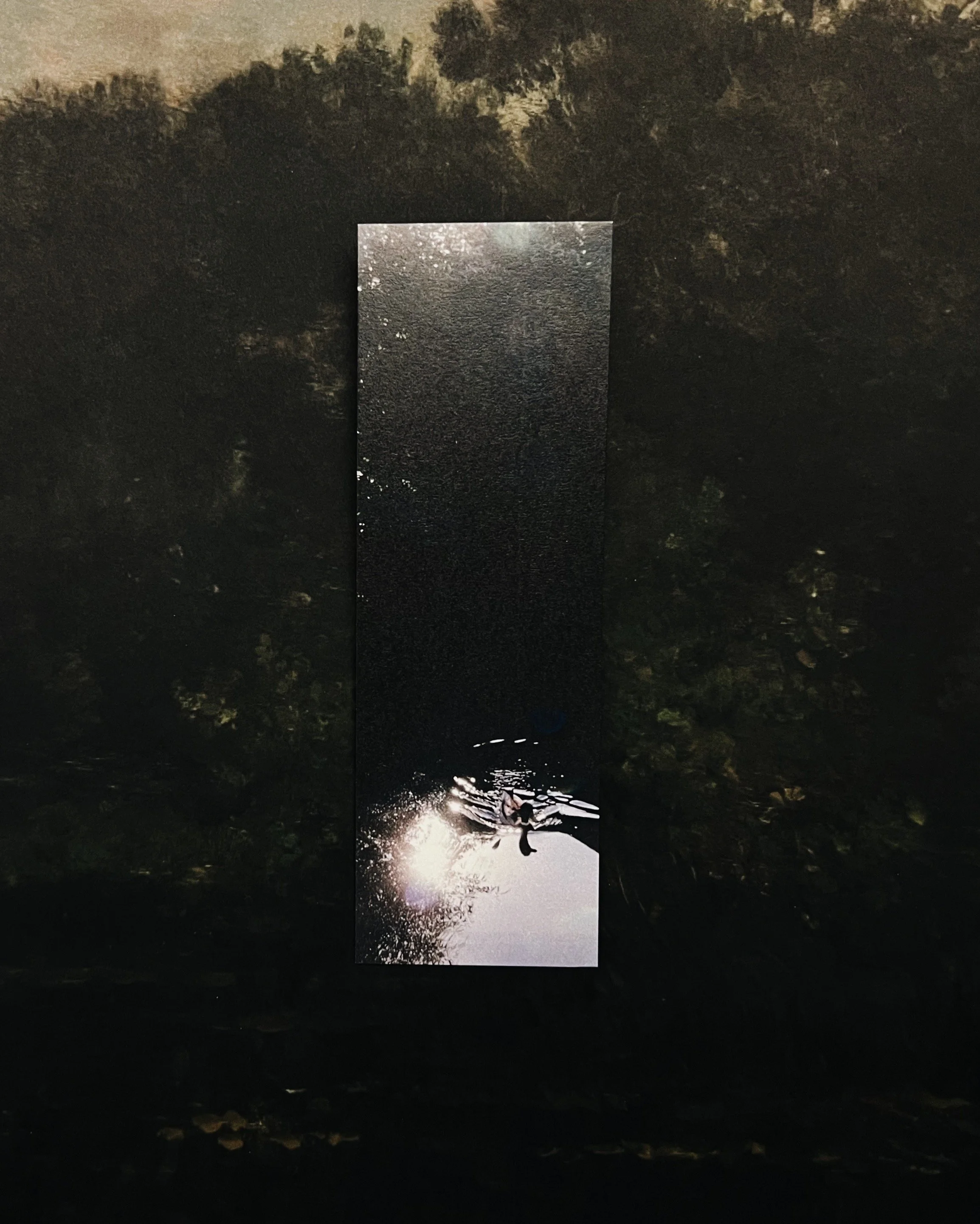 duck duck ✸ bookmark