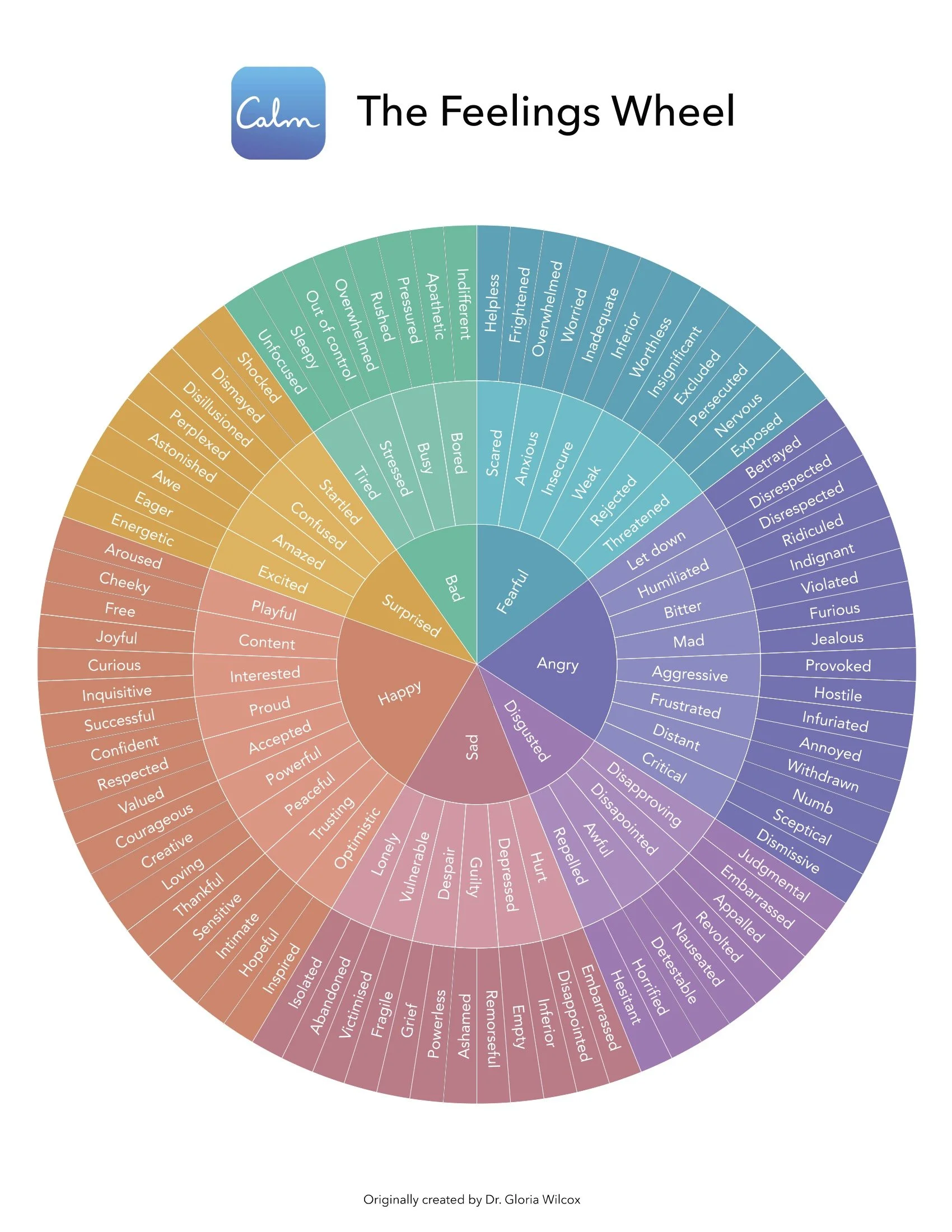 Understanding Your Emotions: A Guide to the Feelings Wheel