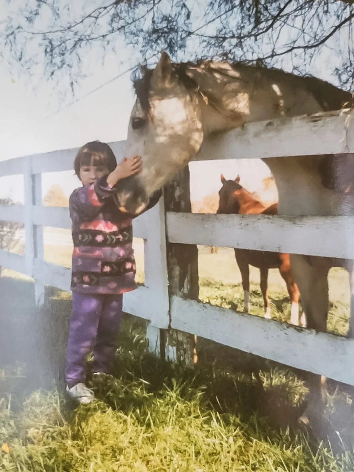 A young girl petting a gray horses nose over a white fence, horses are therapy