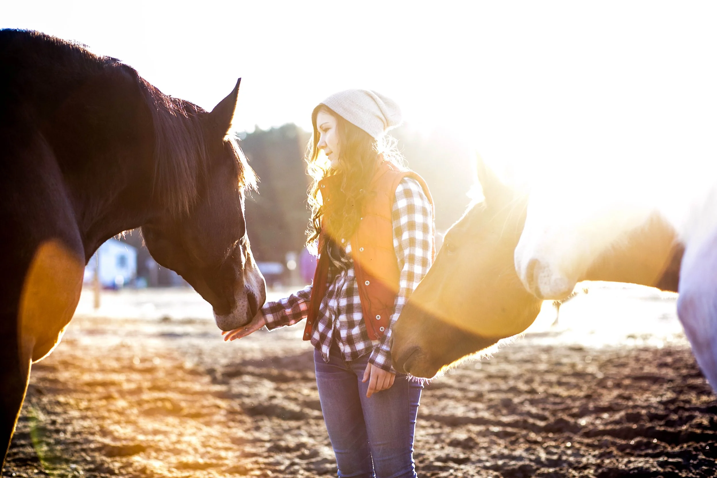 Woman in a field with two horses at sunset during an equine-assisted therapy session in Western New York