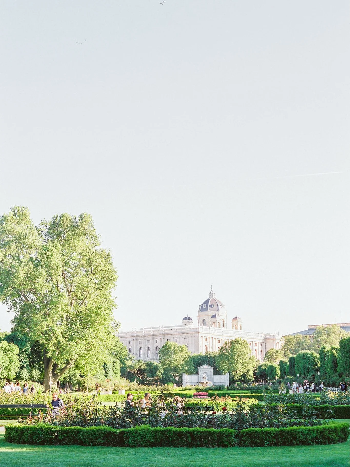 Viennese perspectives captured by @love.is.my.favorite.color 😍✨

#destinationwedding #destinationweddingplanner #destinationweddingvienna #europewedding #weddingplanneraustria